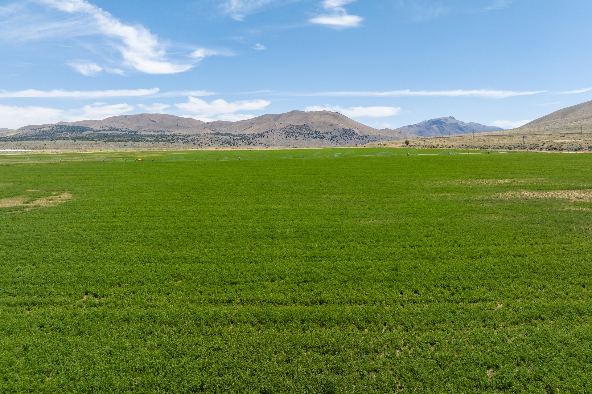 Constantia Ranch