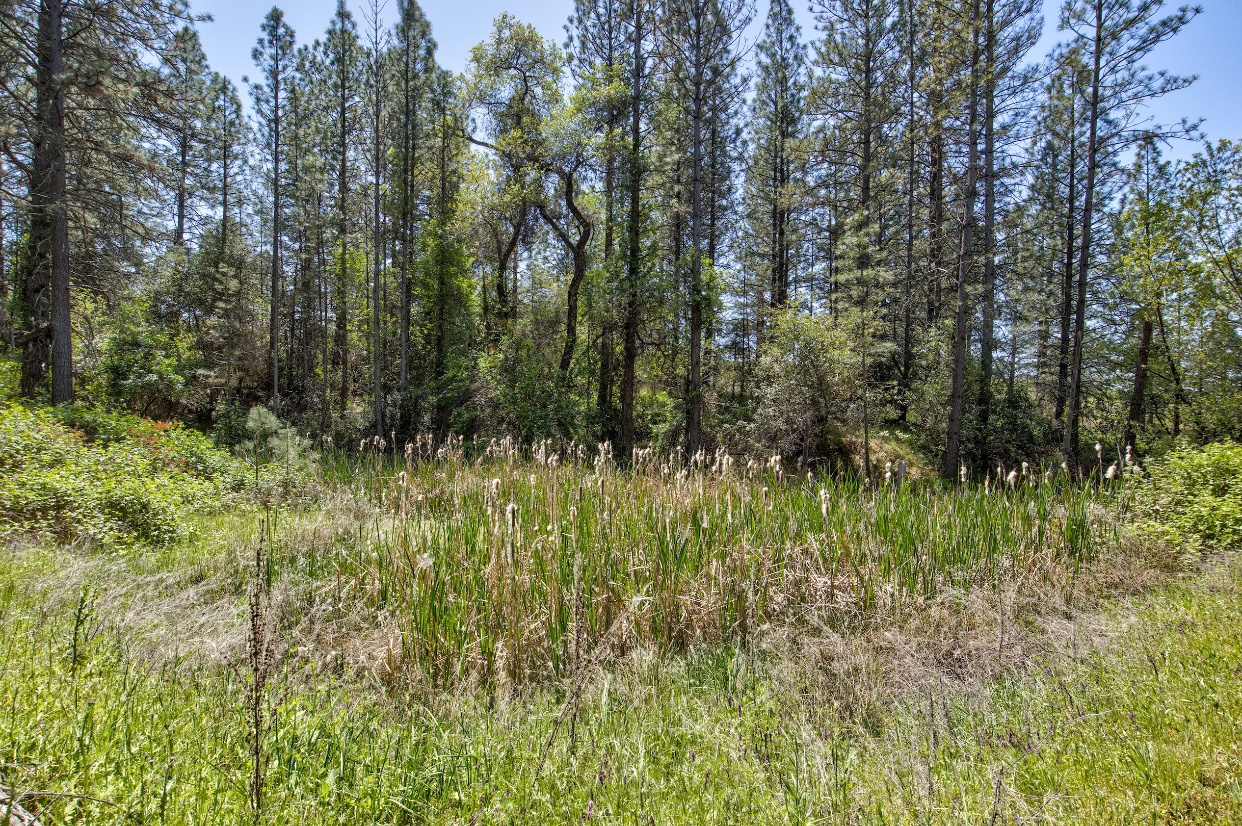 Listing Image 65
