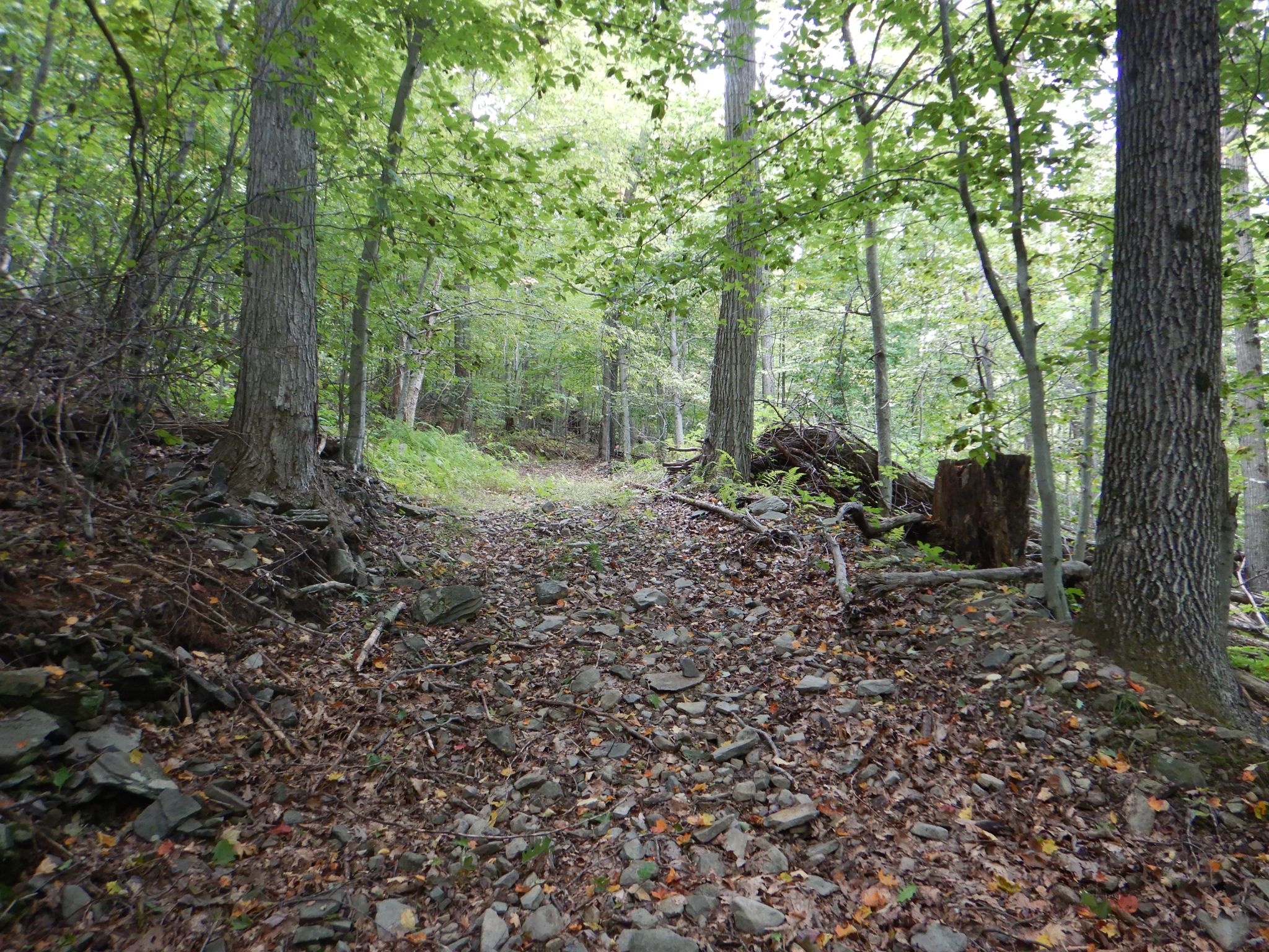 Listing Image 23