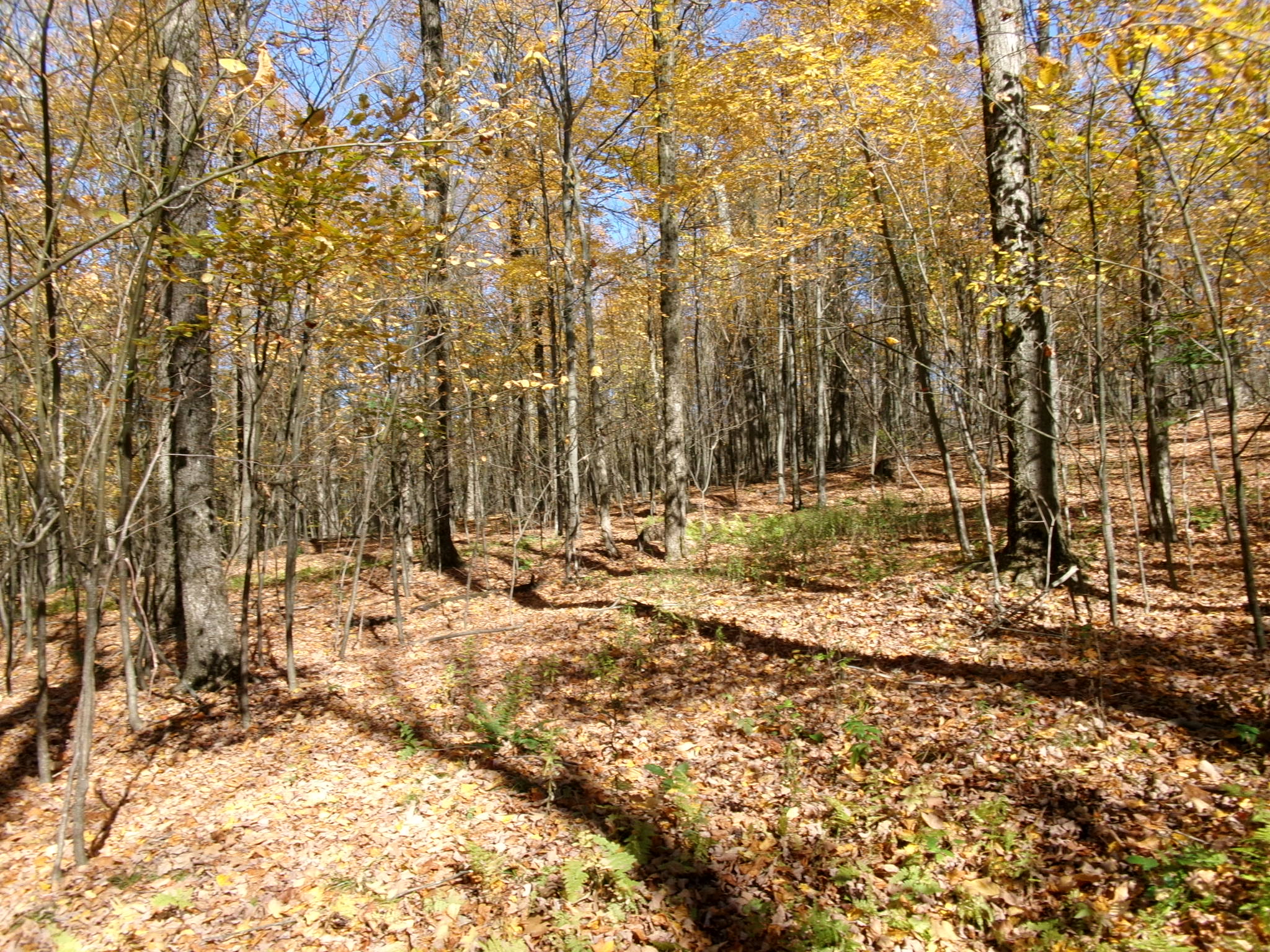 Listing Image 36