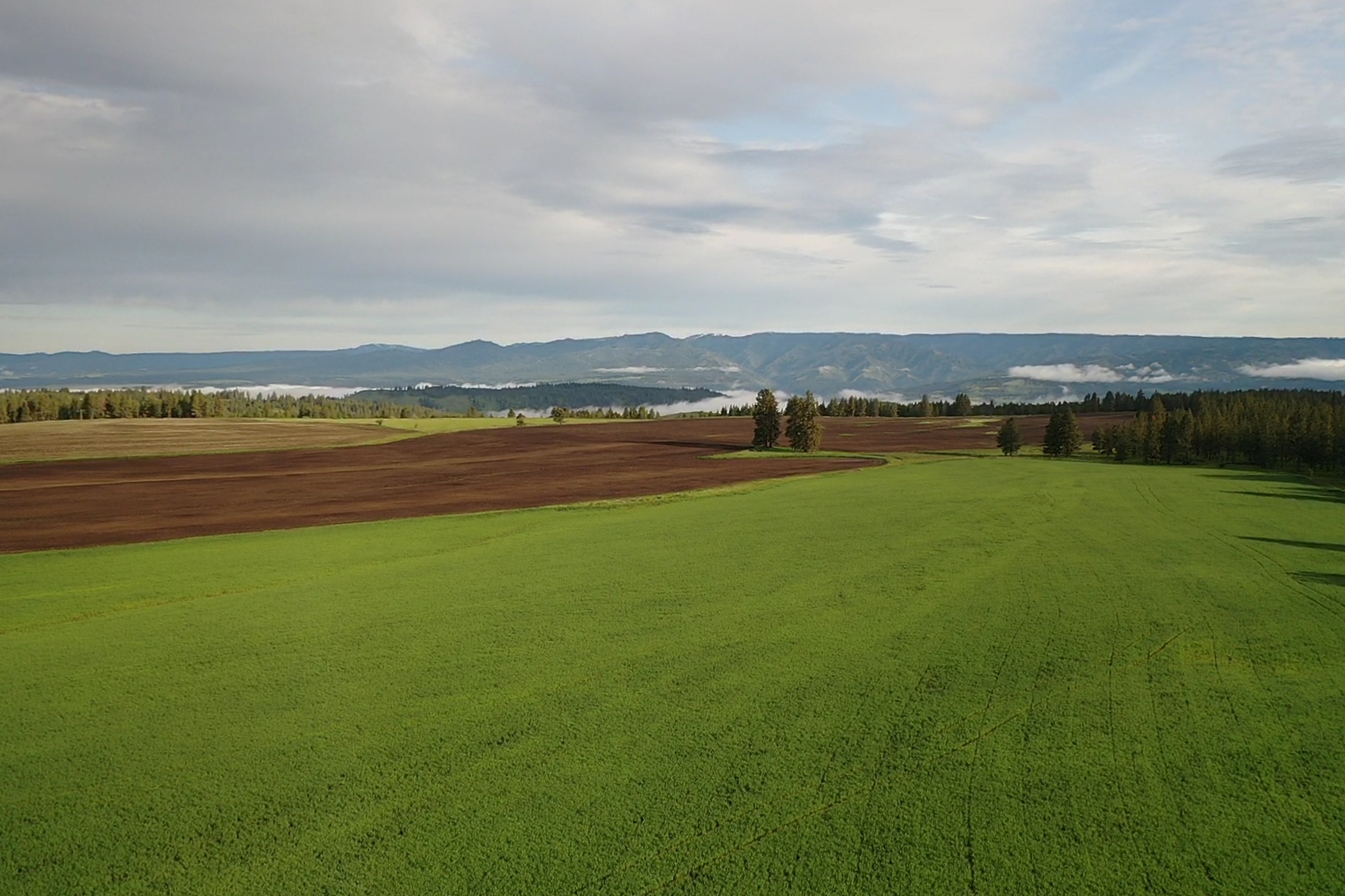 Buford Ridge Ranch
