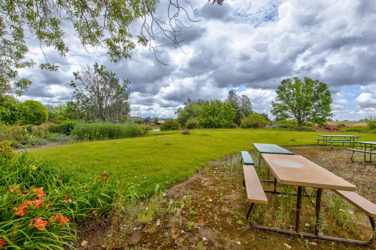 Listing Image 65