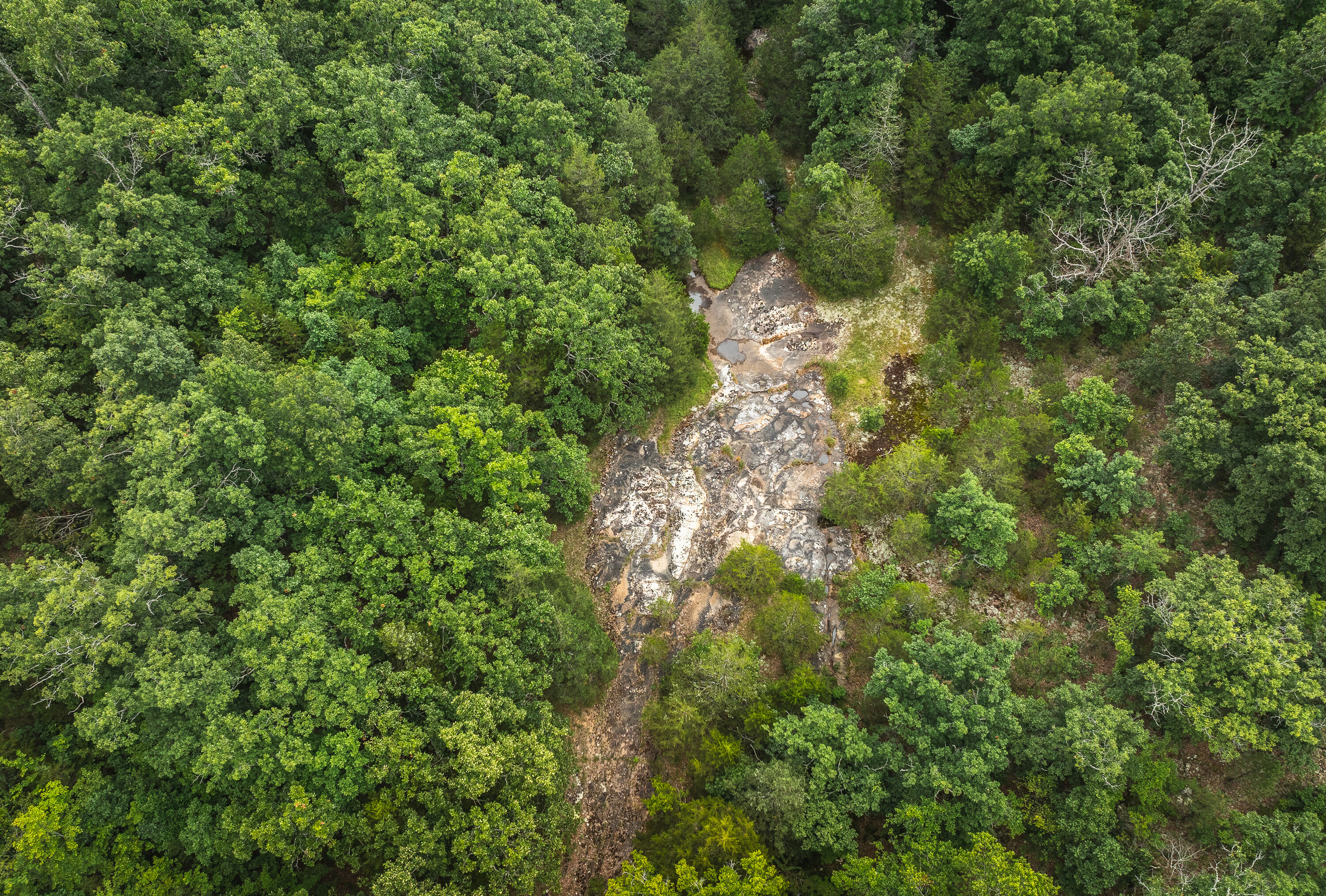 Phelps County Land & Timber 2 Tracts