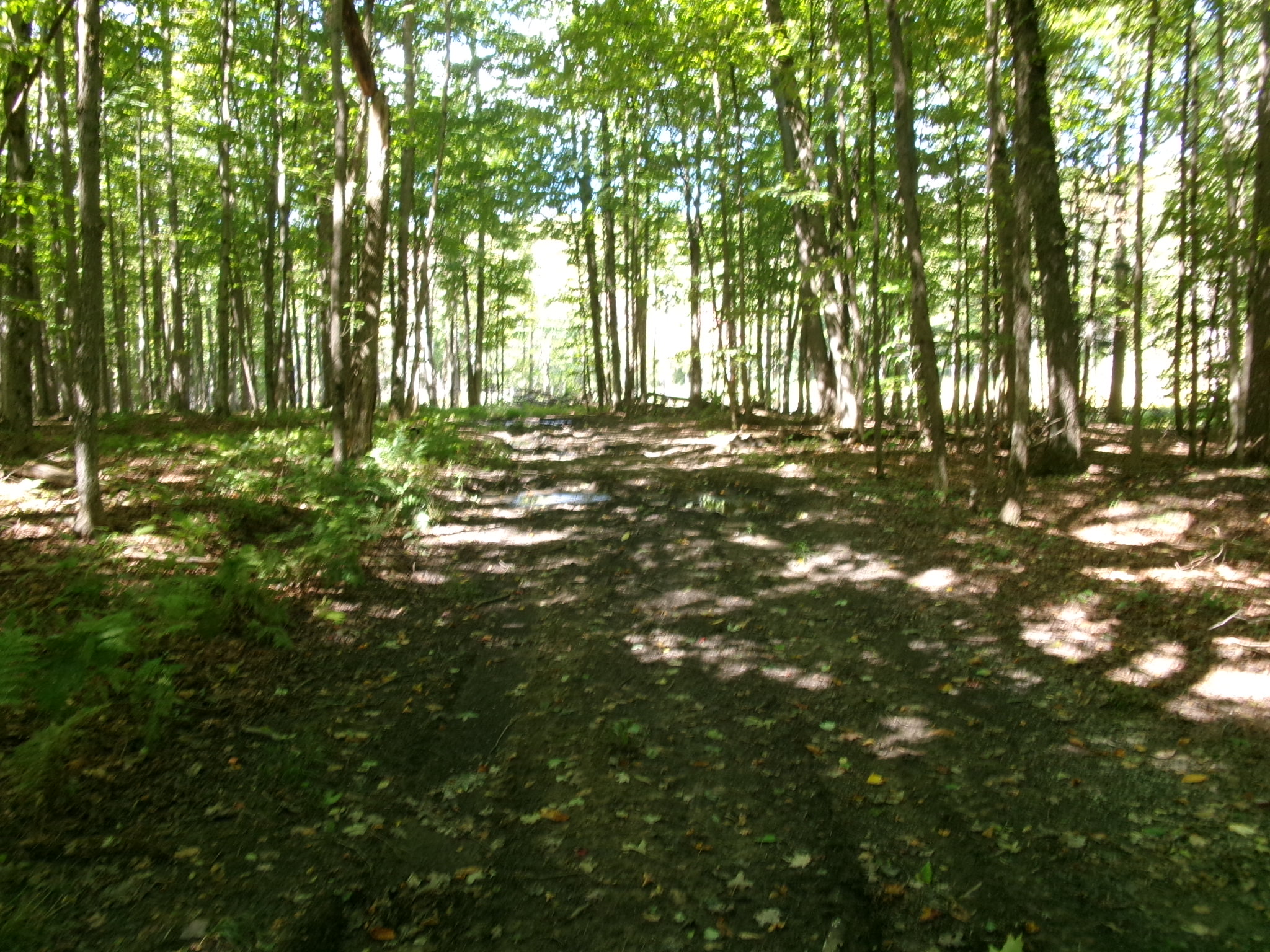 Listing Image 43