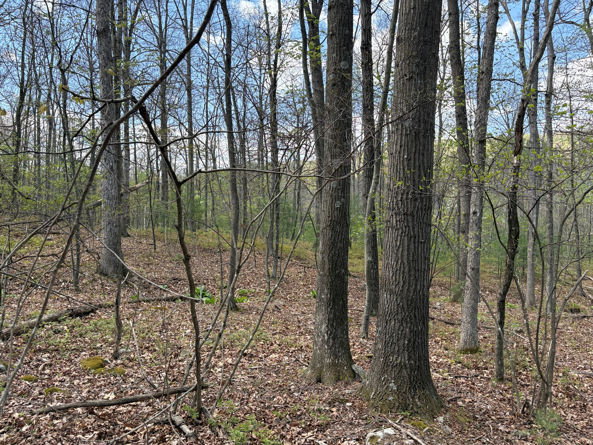 Listing Image 25
