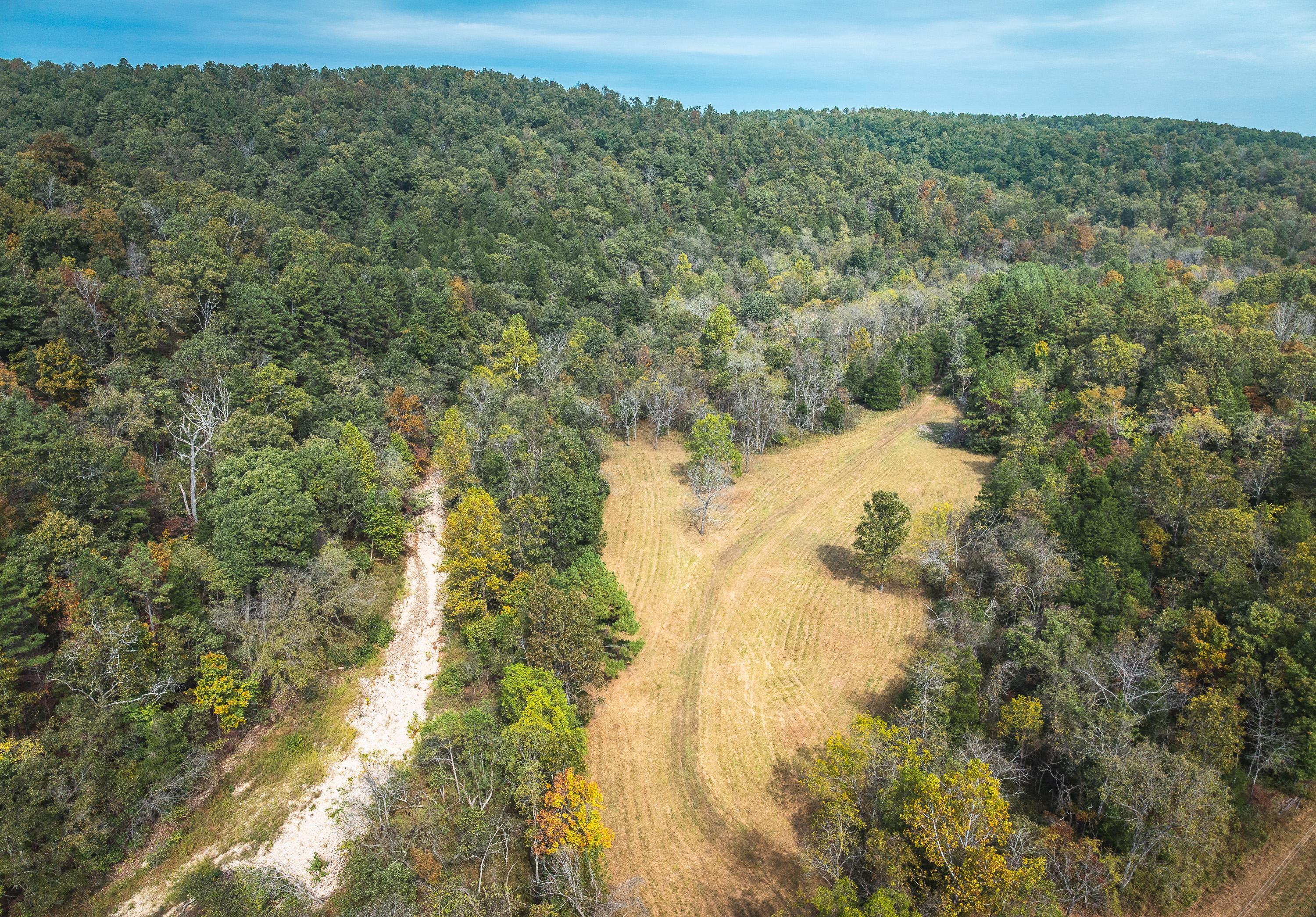 Little Gladden Creek Hunter