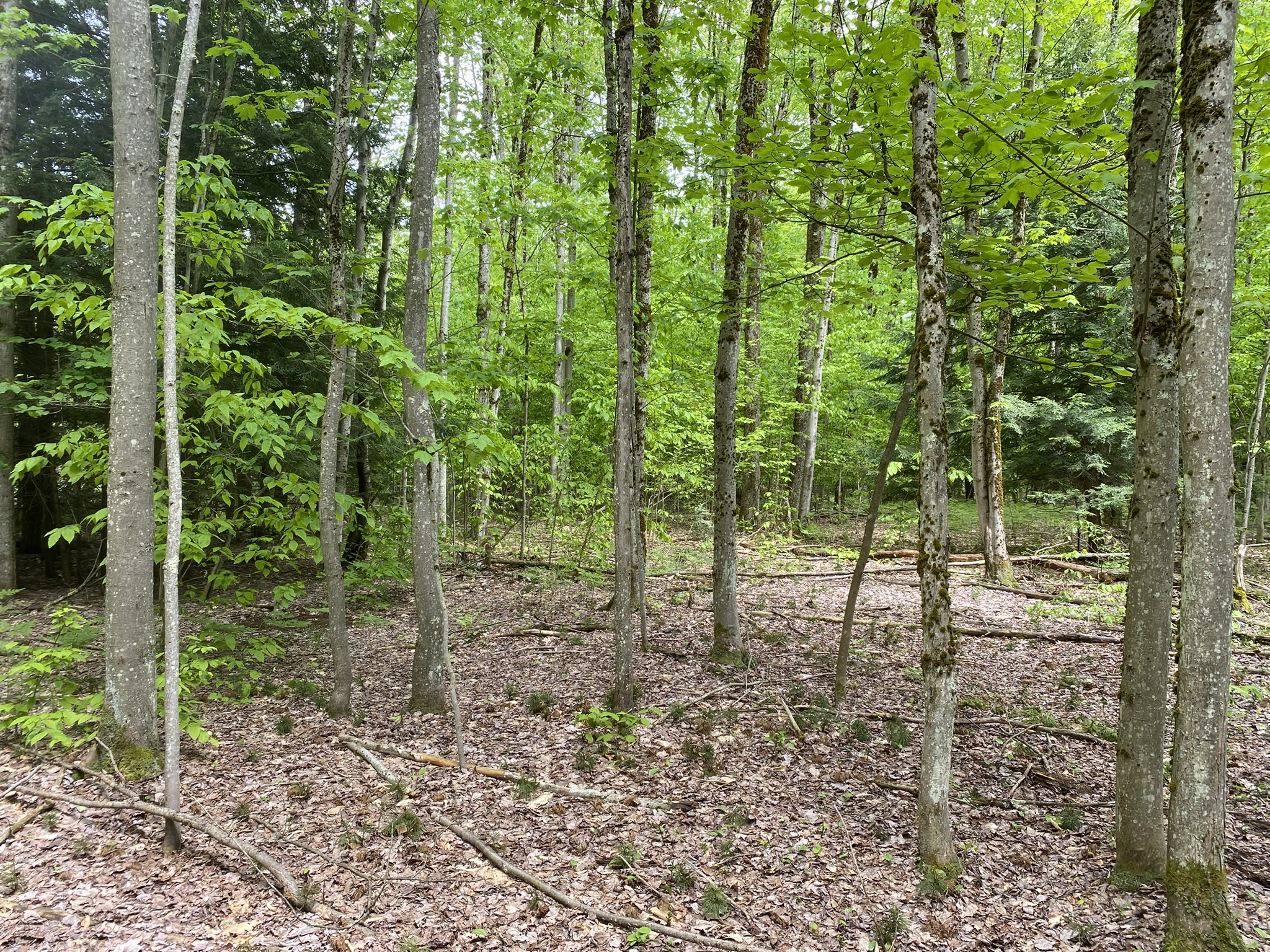 Listing Image 25