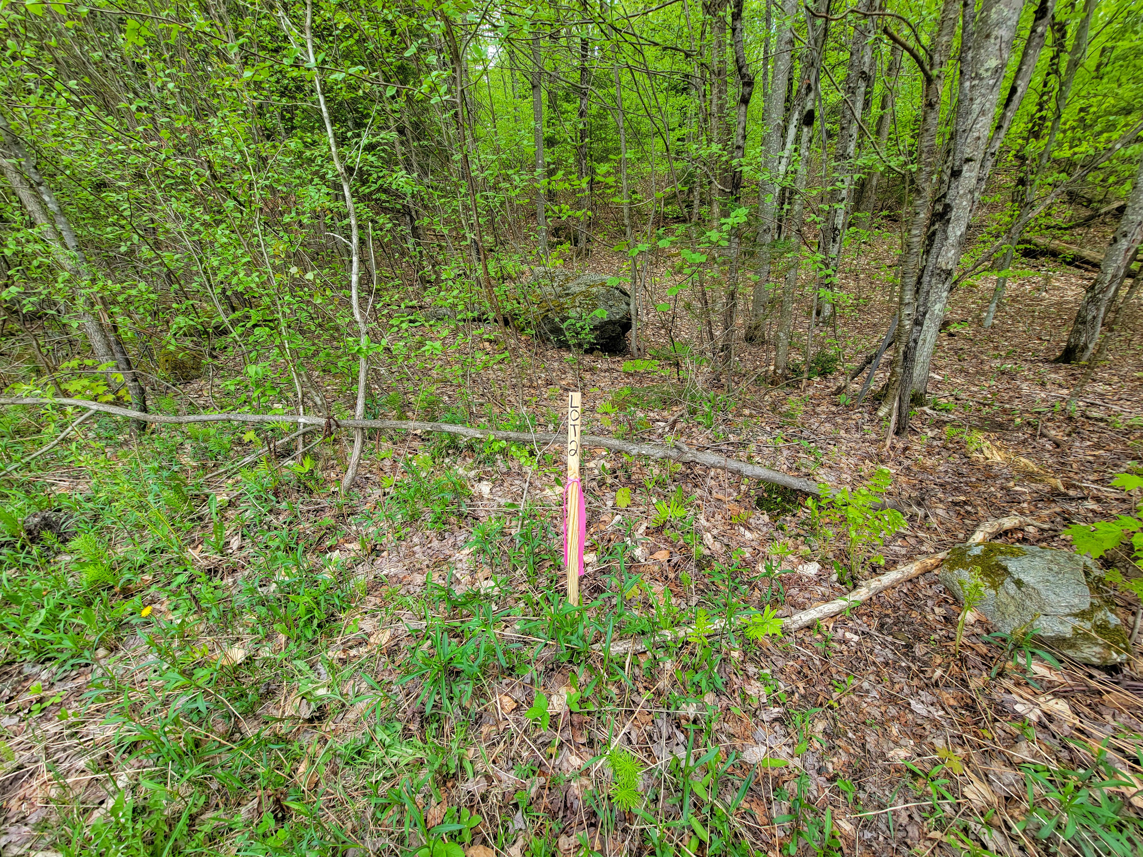 Listing Image 21