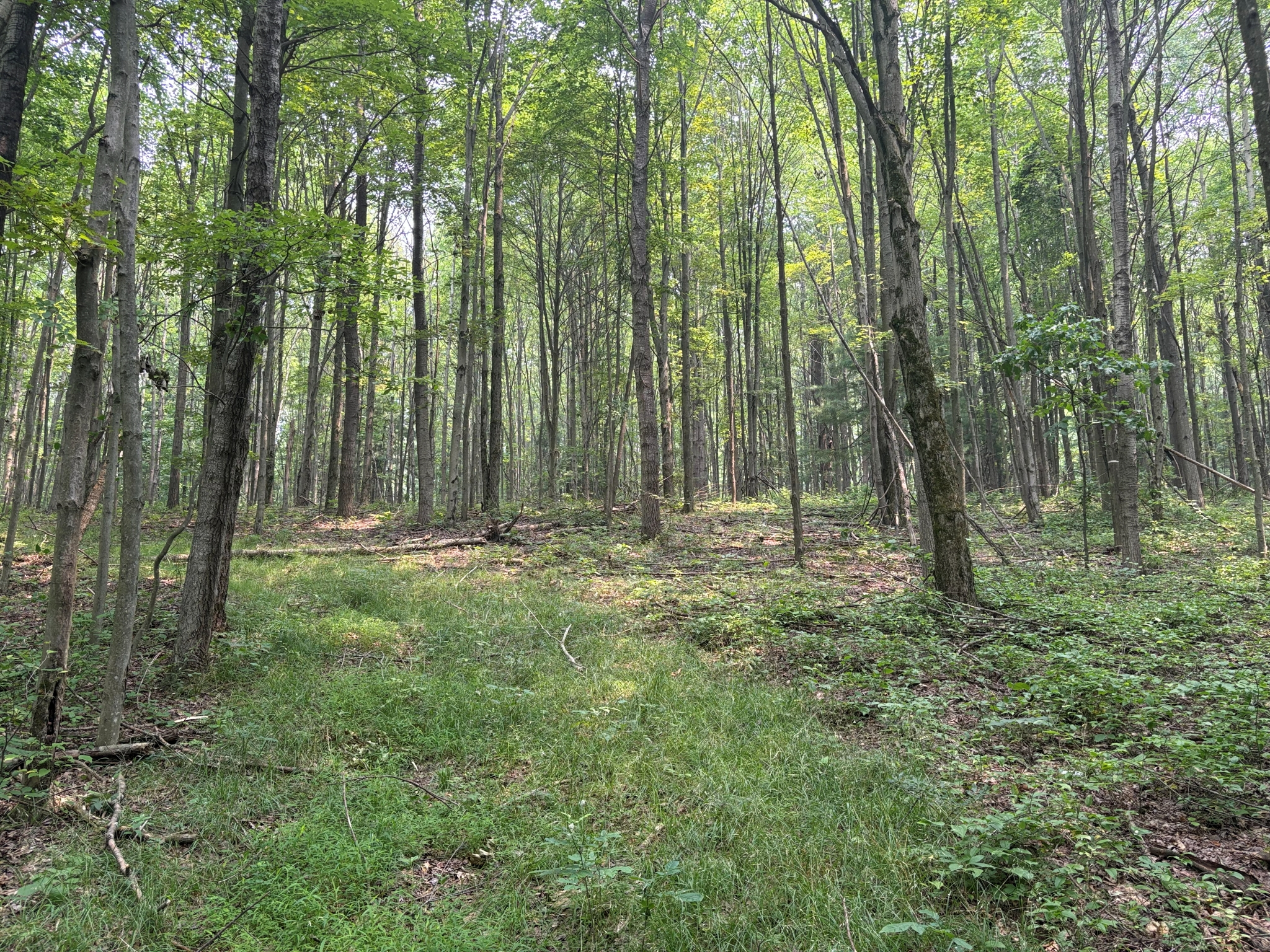 Listing Image 47