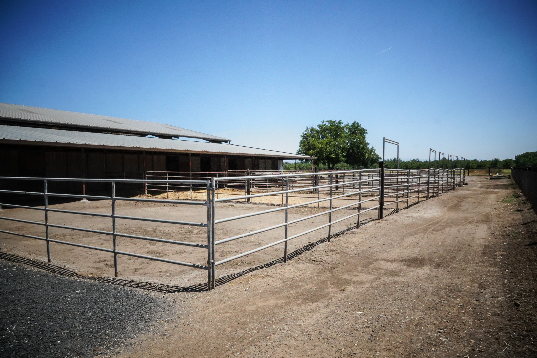 Woodard Ranch