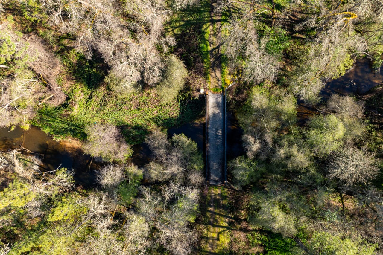 Hyatt Ranch