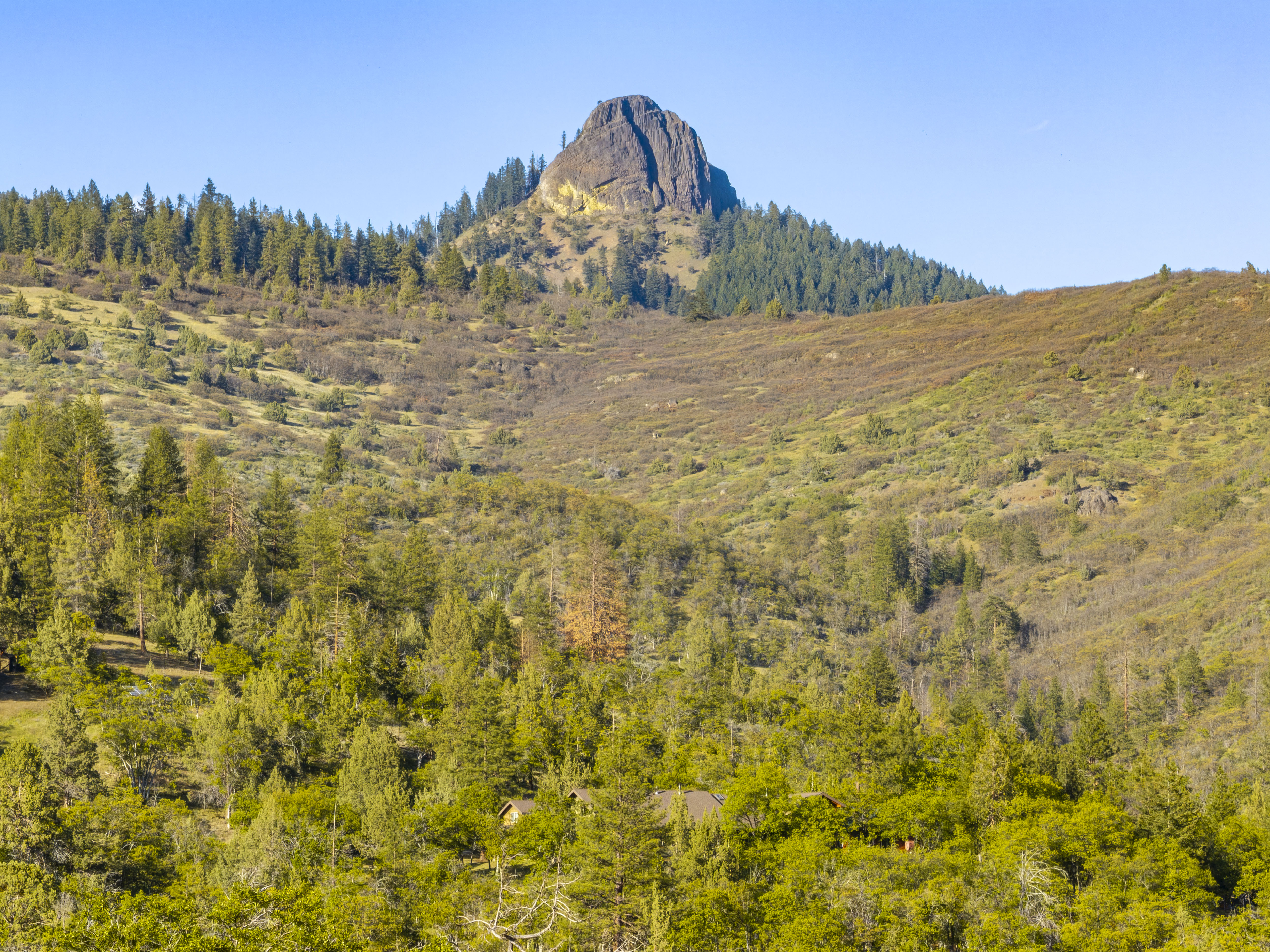 Listing Image 65