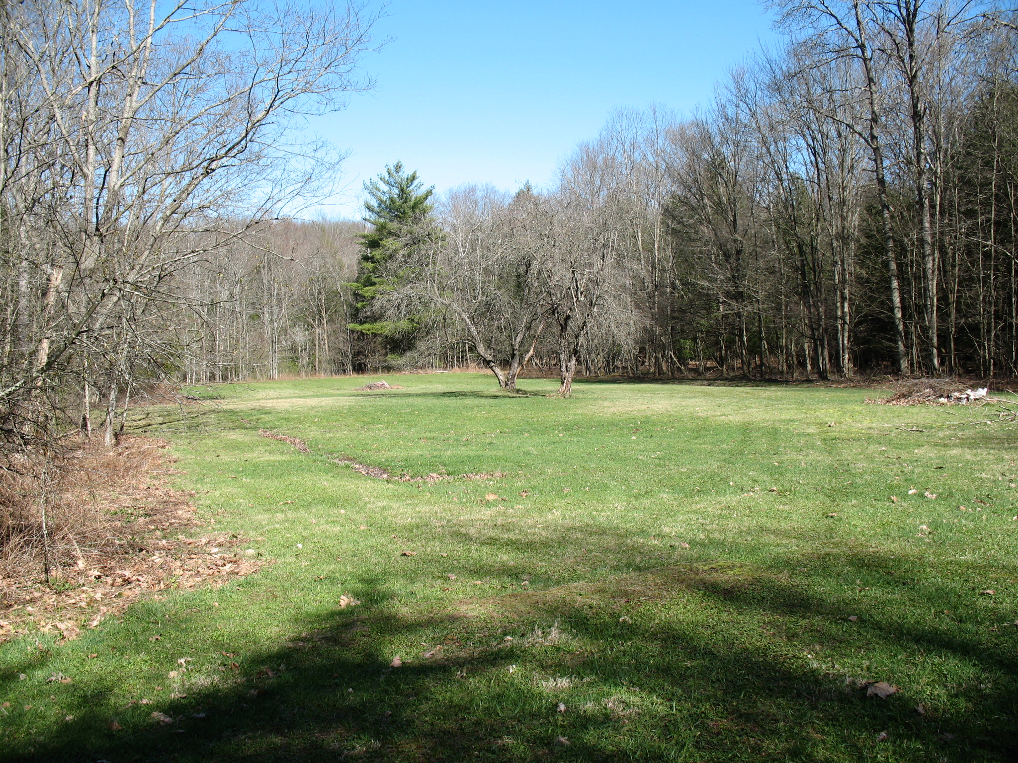 Listing Image 10