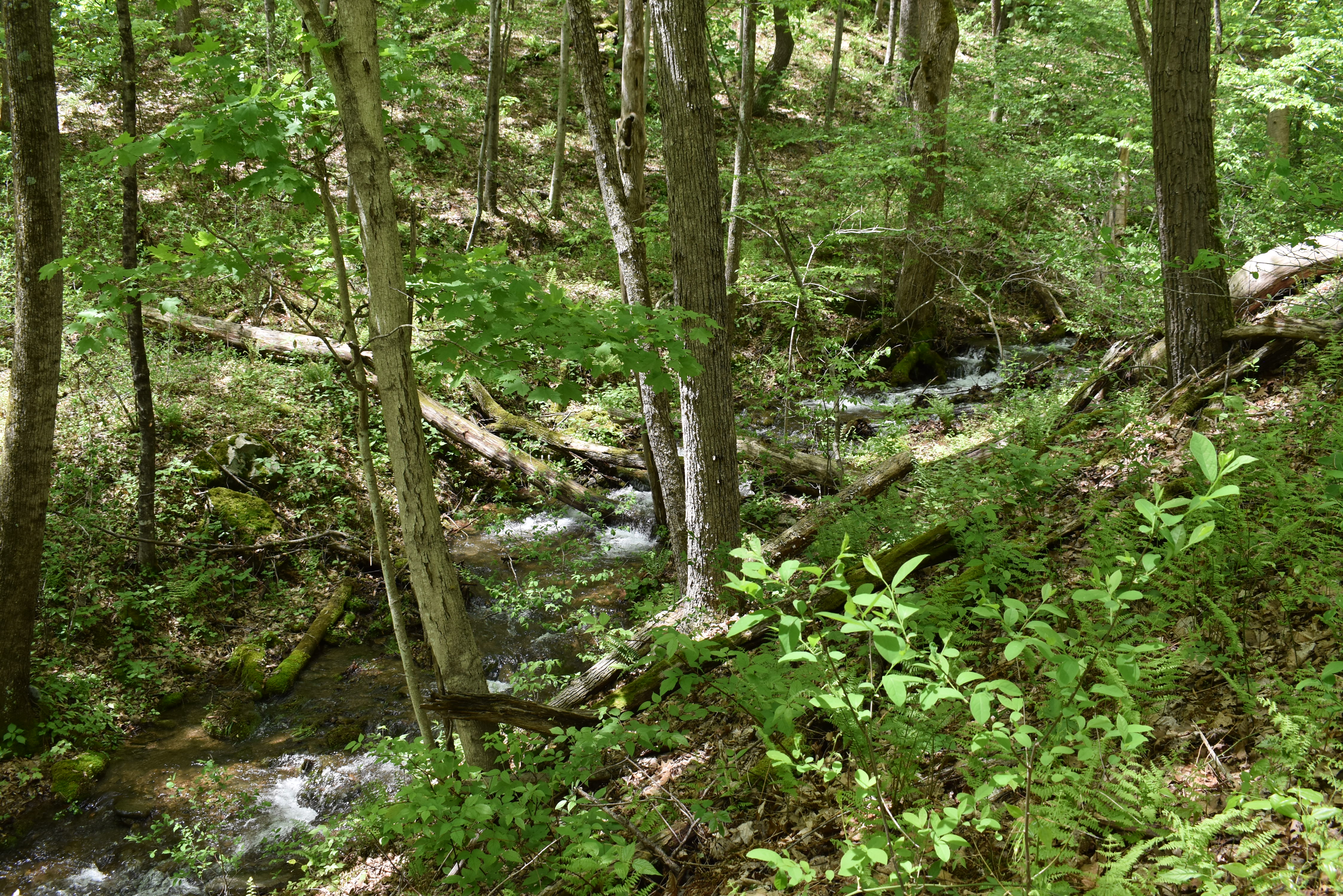 Grugan Hollow