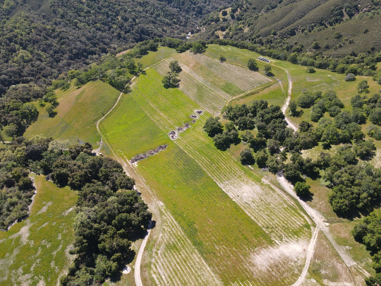 The Bell Ranch in Carmel Valley