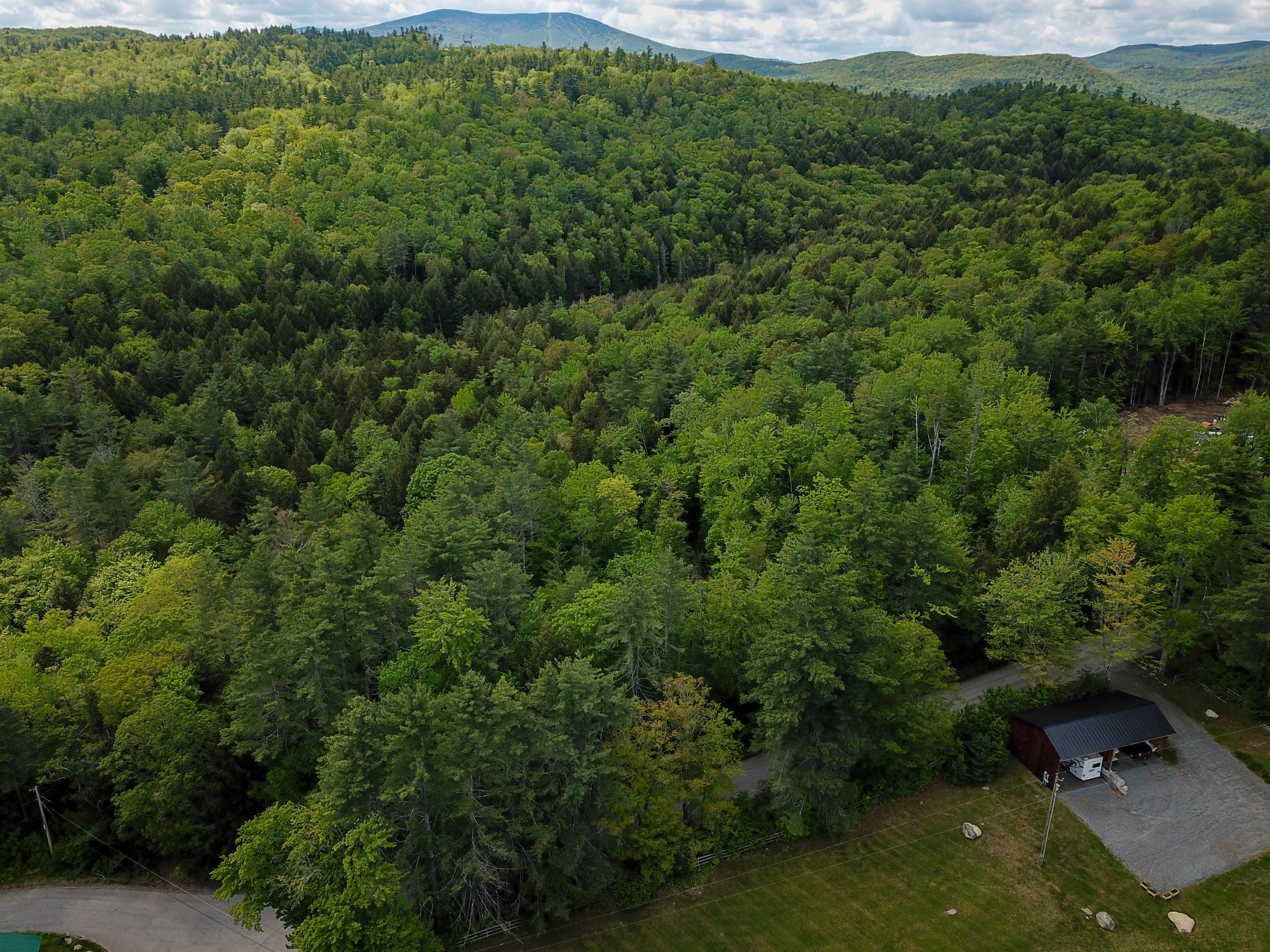 1105 South Hill Rd - Jamaica