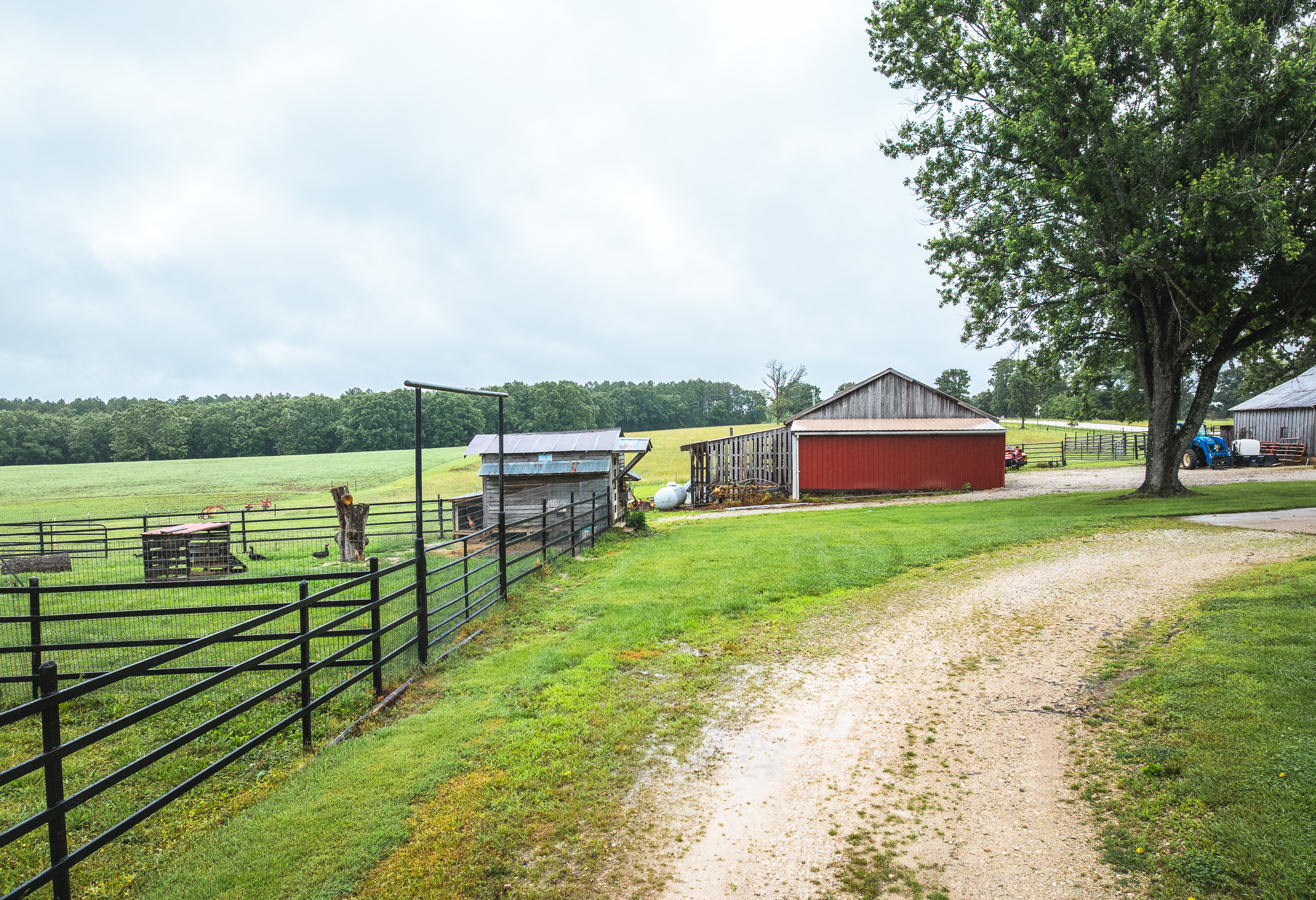 T-Cross Farm