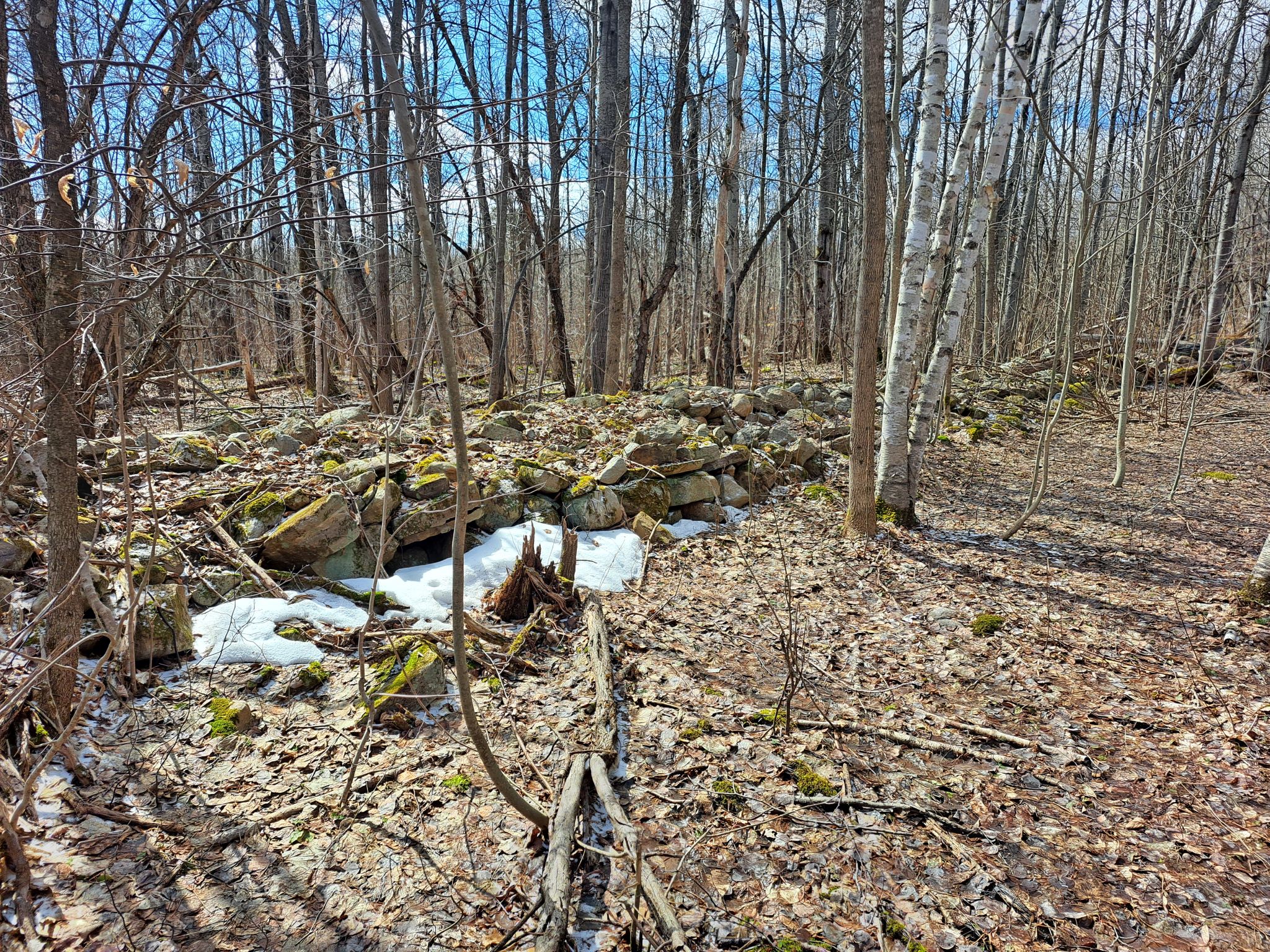 Listing Image 27