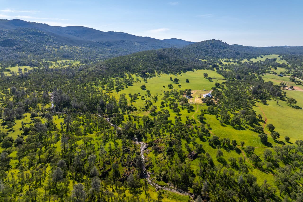 The Gann Ranch