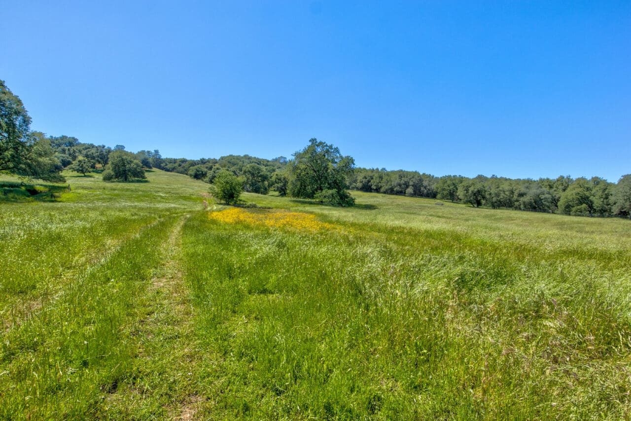 Listing Image 72