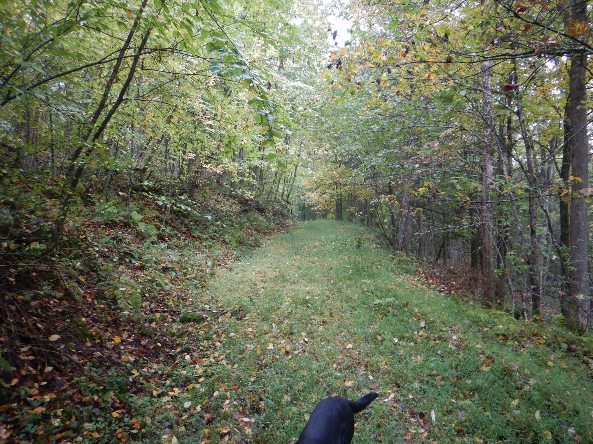 Listing Image 24