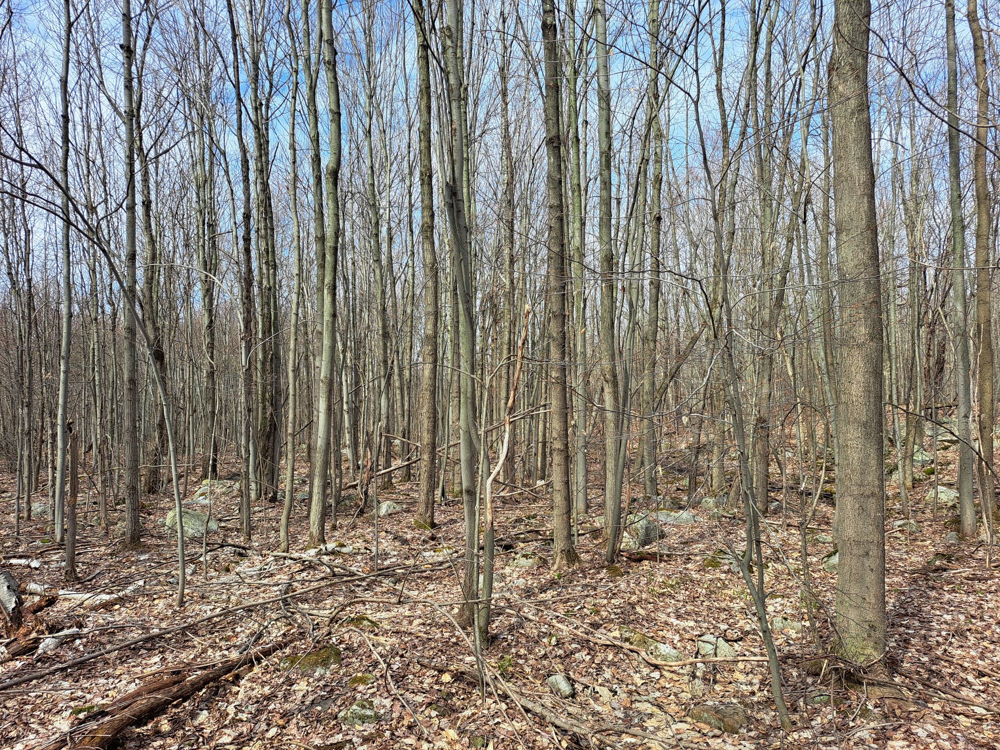Listing Image 27