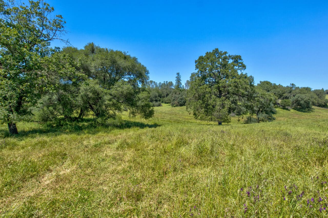 Listing Image 67