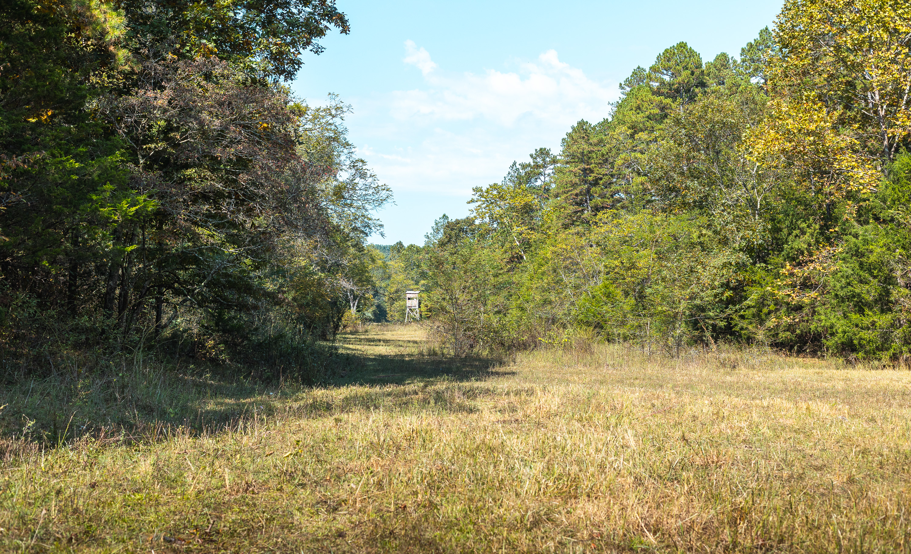 Ashley Creek Ranch 329