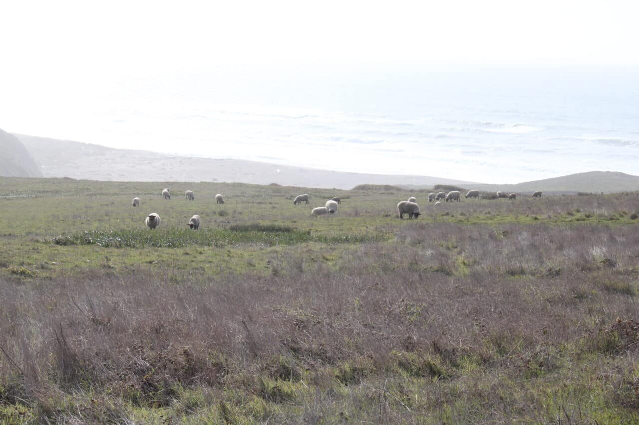 Listing Image 49