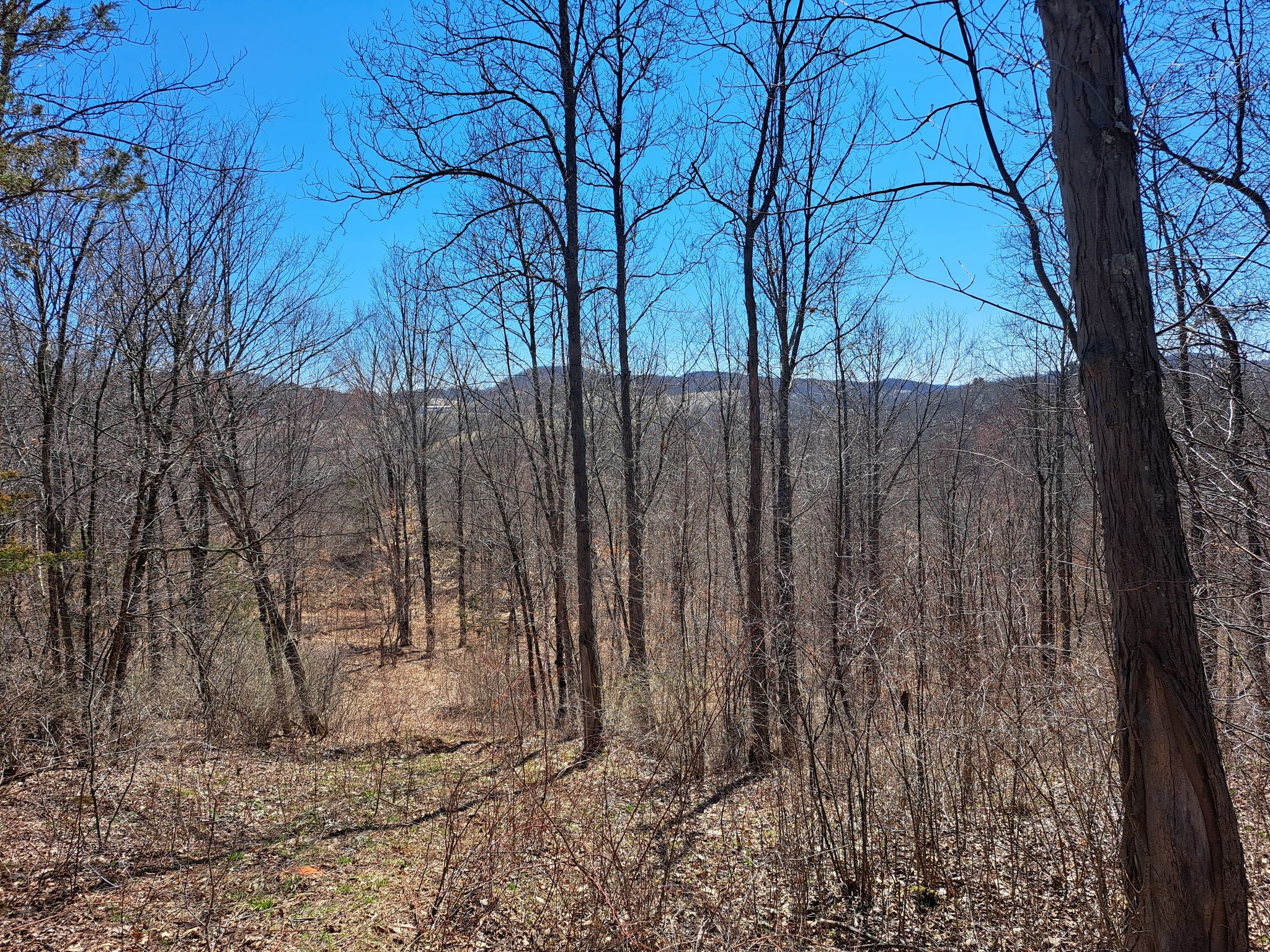 Listing Image 19