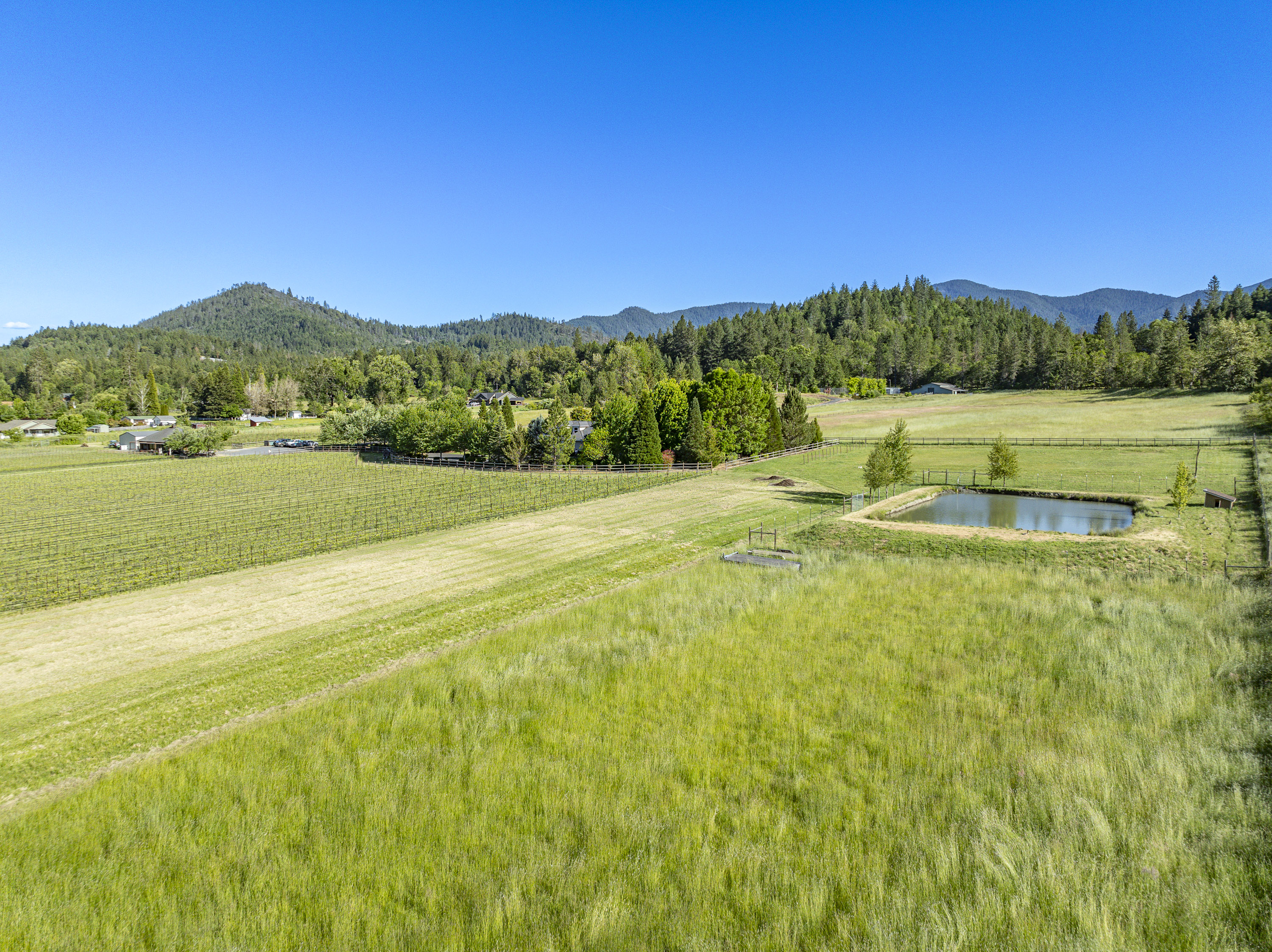 Listing Image 76