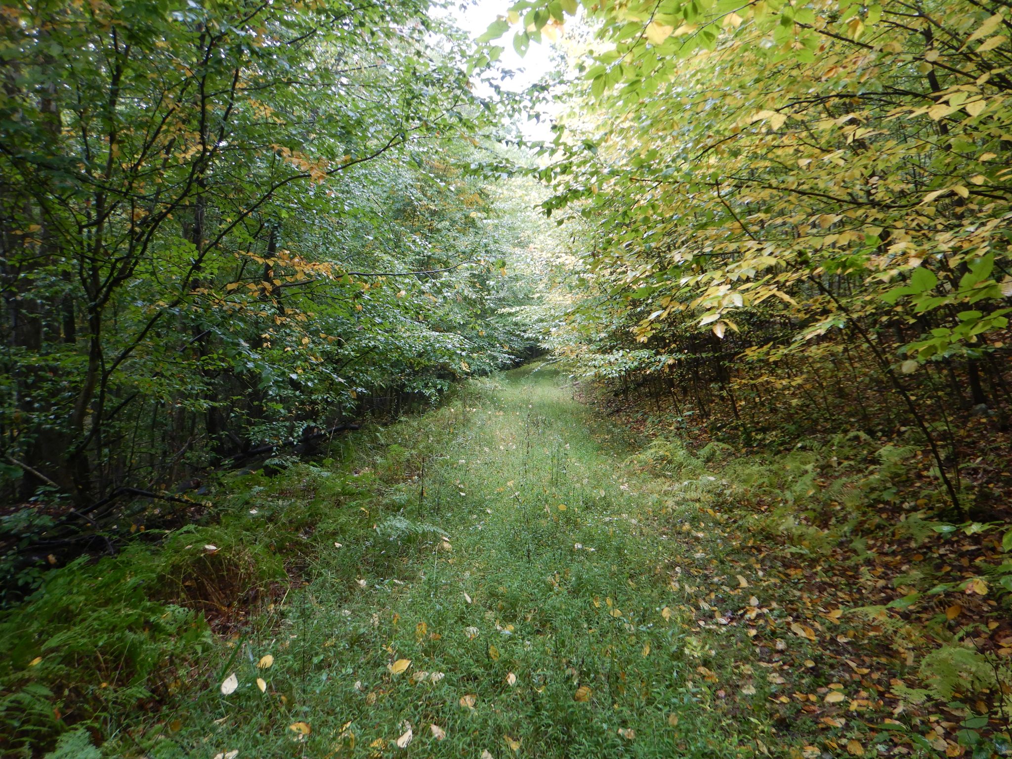 Listing Image 38