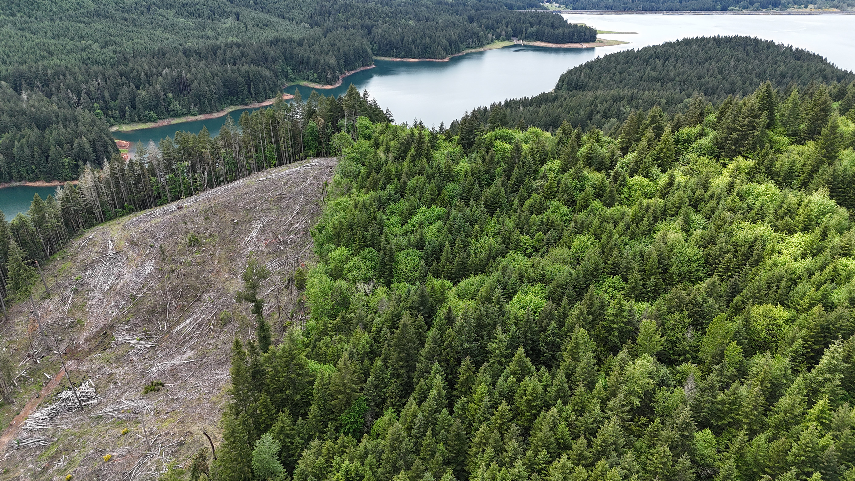 83715 Peninsula Rd Fall Creek OR
