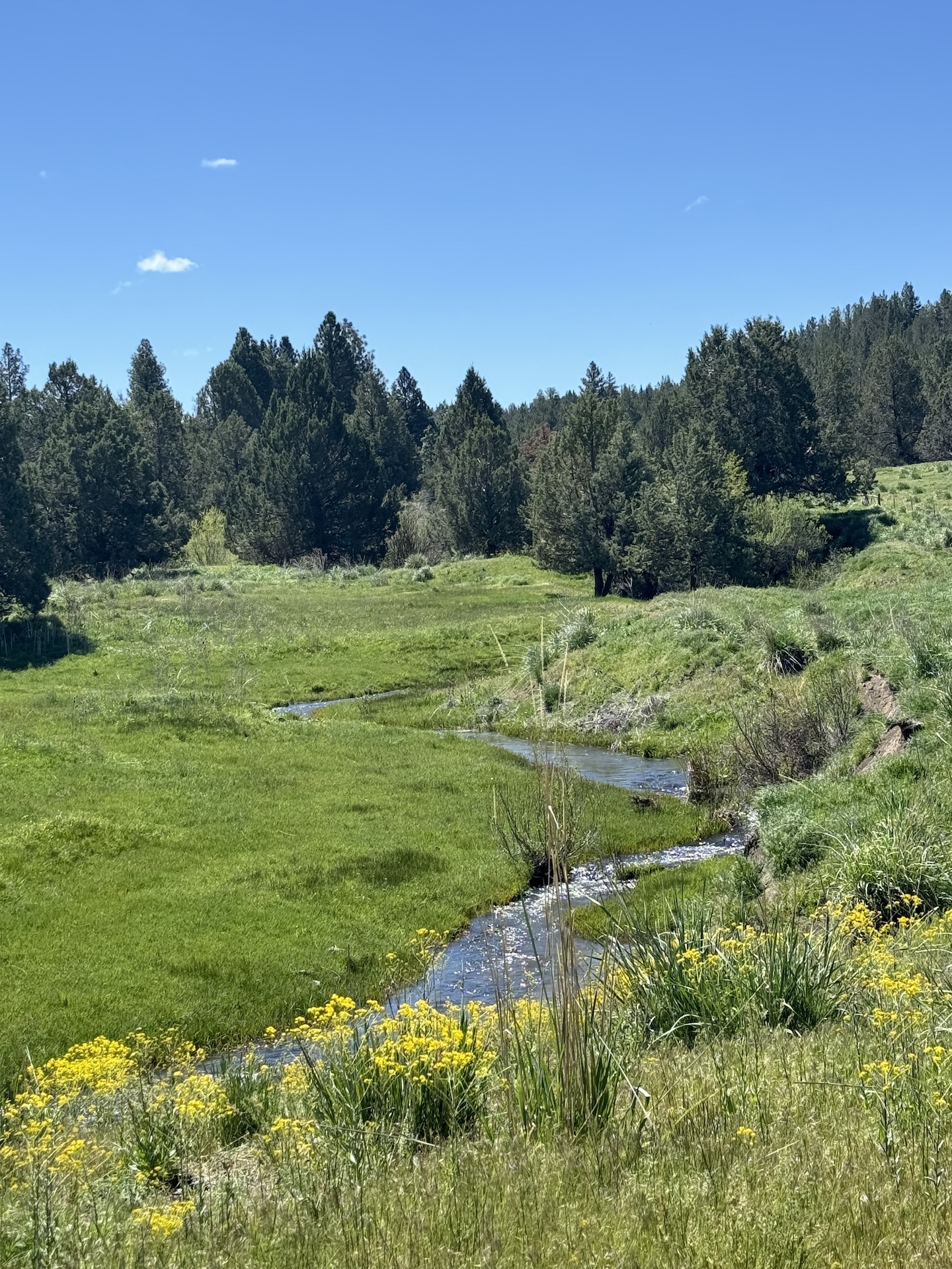 Parker Creek Ranch