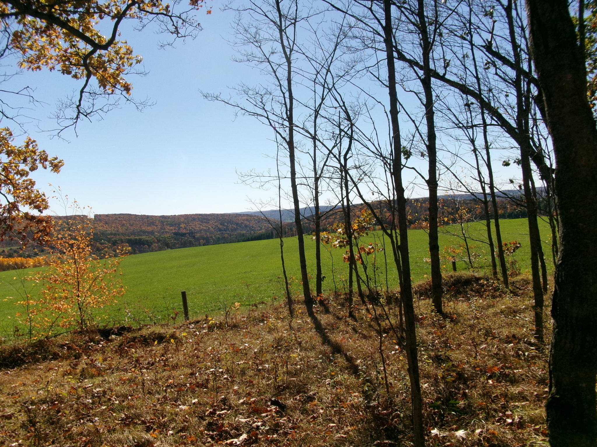 Listing Image 20