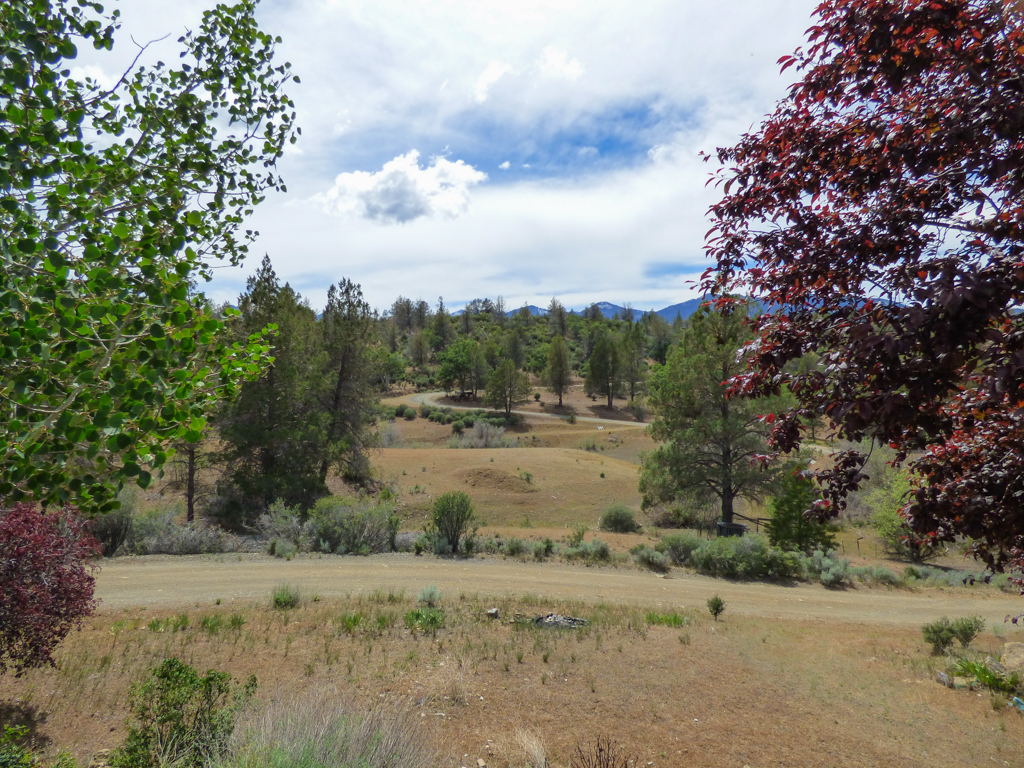 Blacktail Hills Retreat