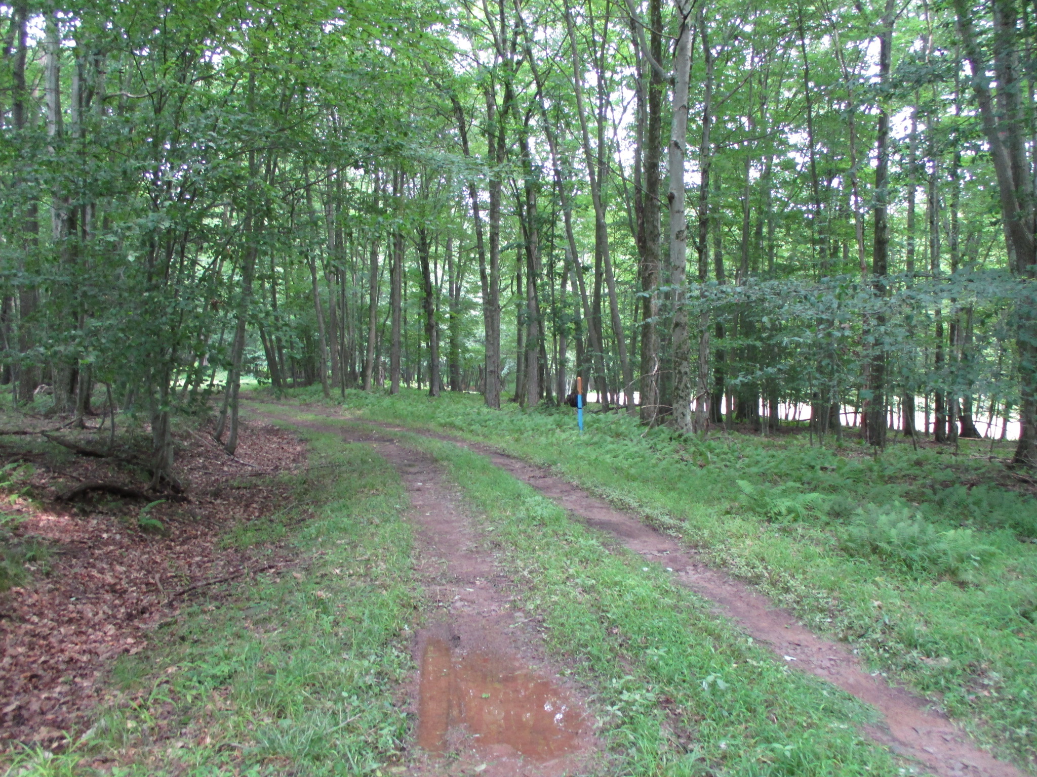 Listing Image 45