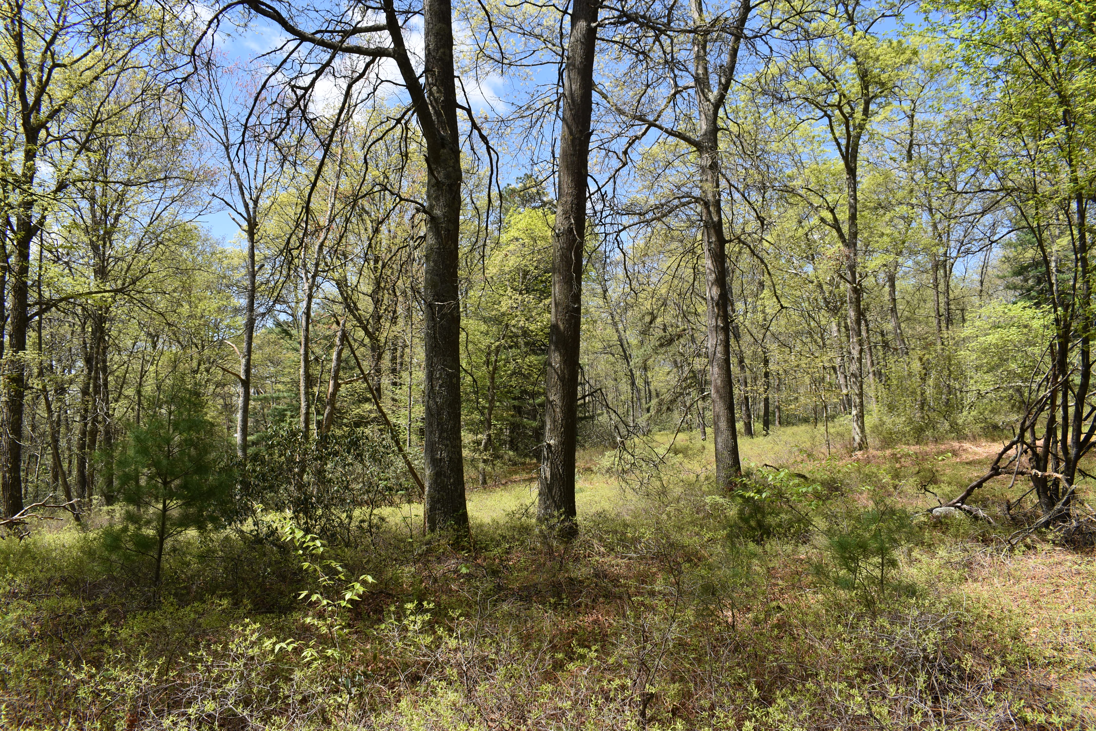 Grugan Hollow