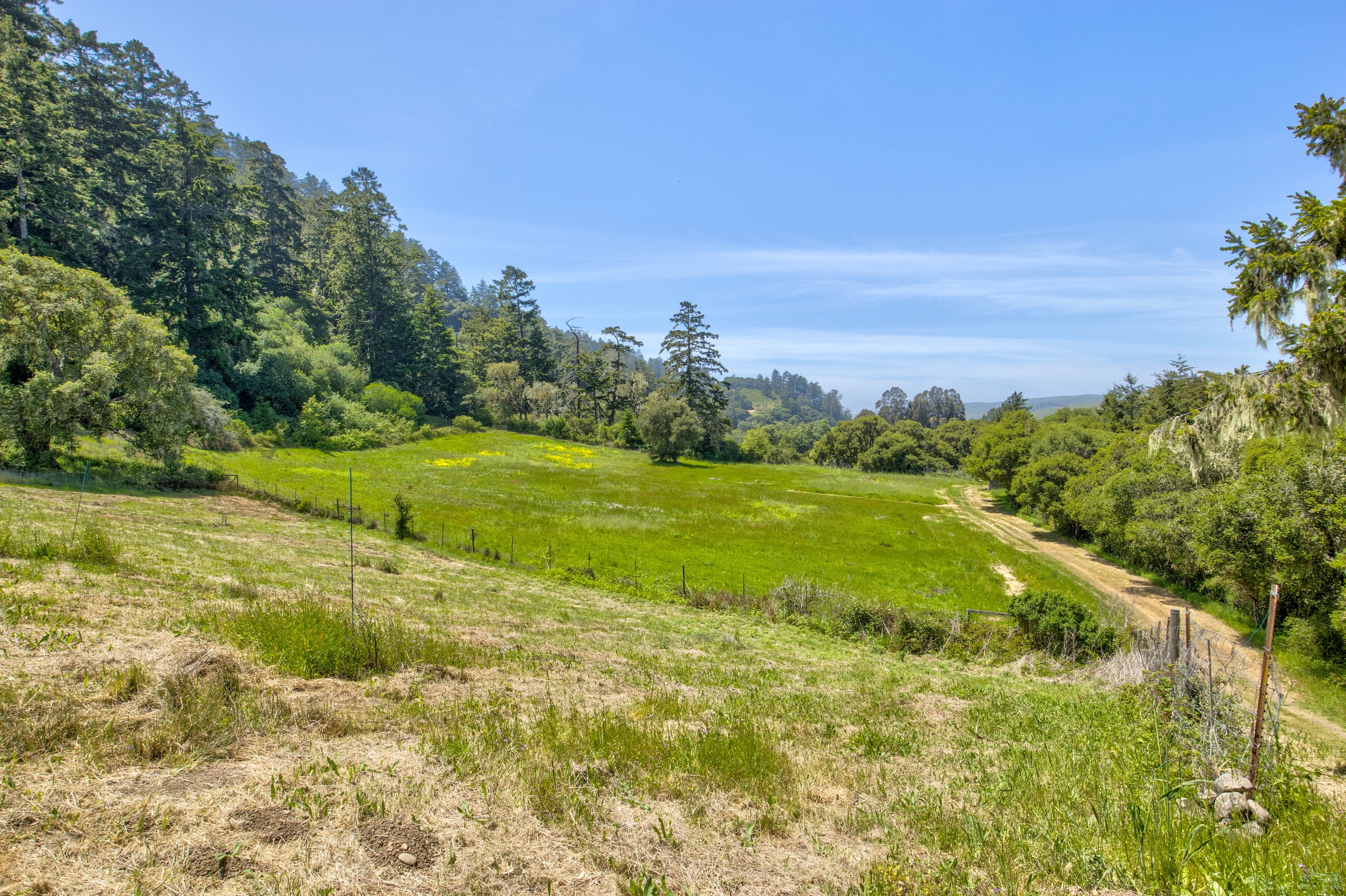 San Gregorio Creekside Farm
