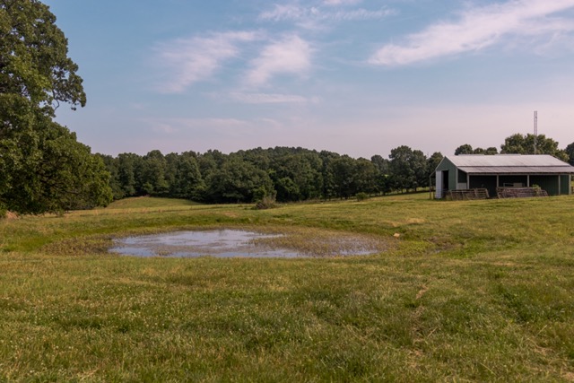 7 Pasture Farm