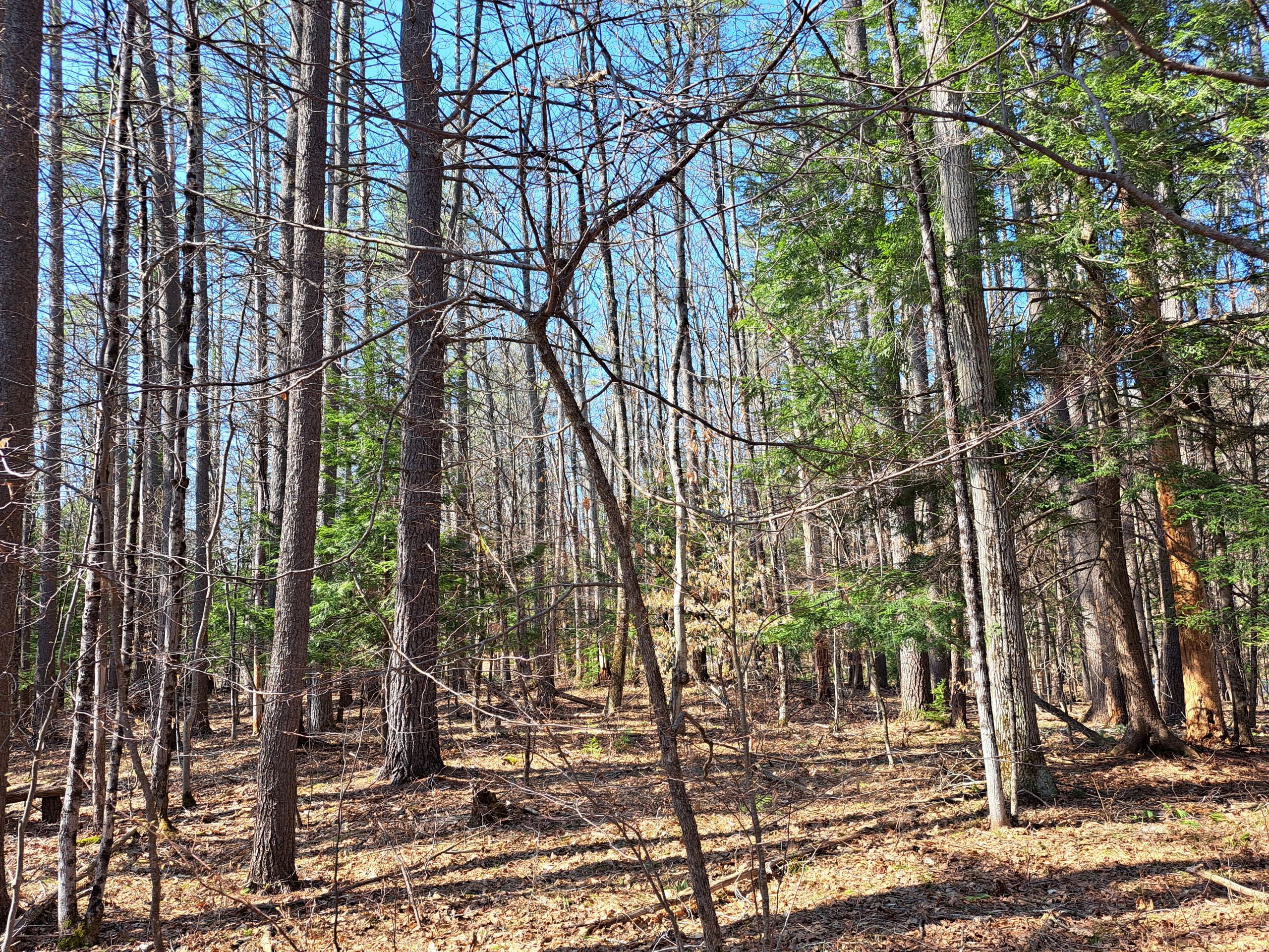 Listing Image 22
