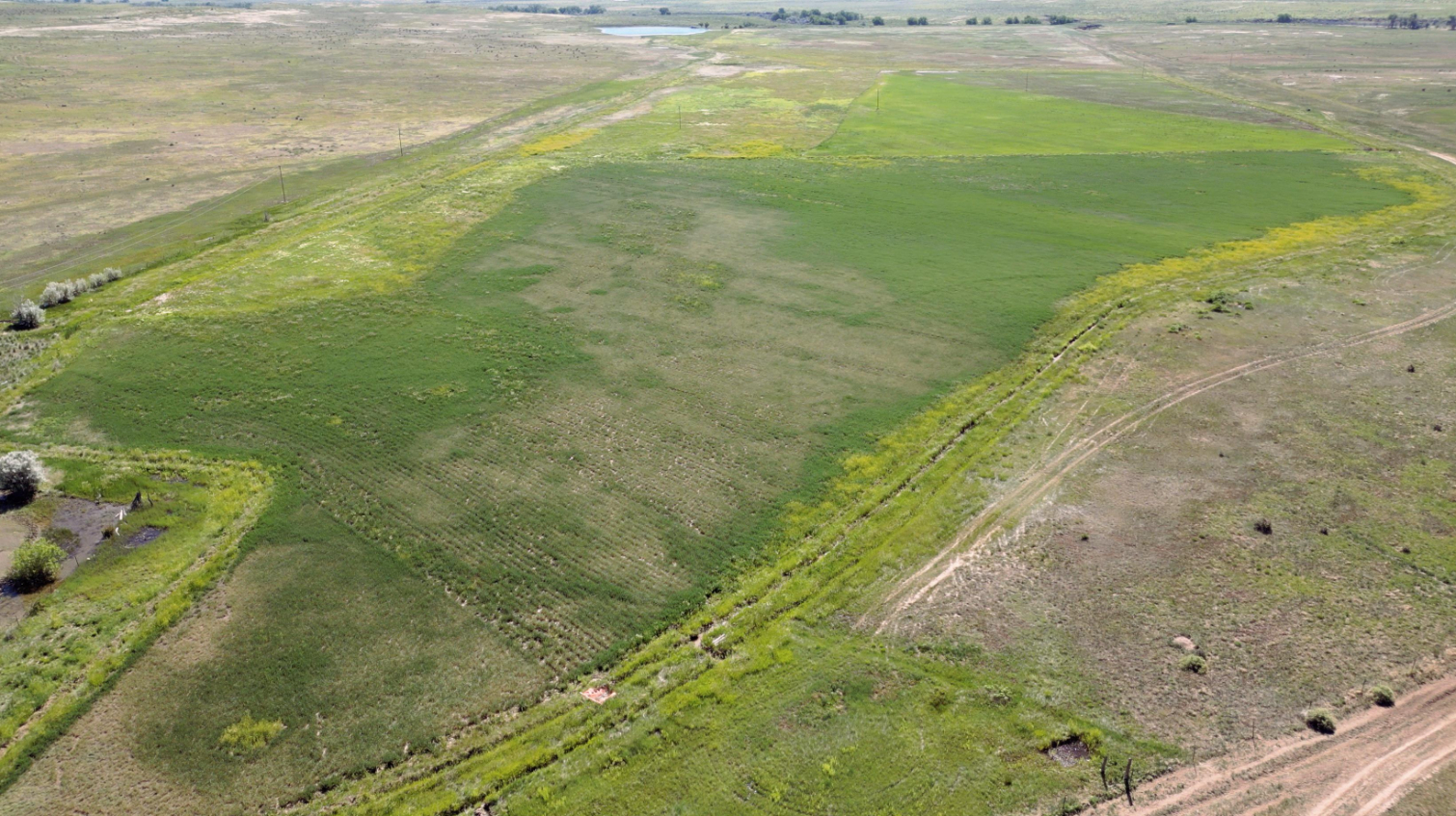 Listing Image 39