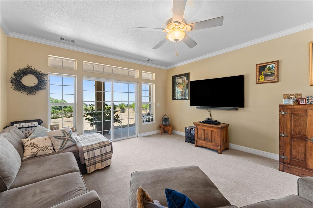 Alger Vineyards and More