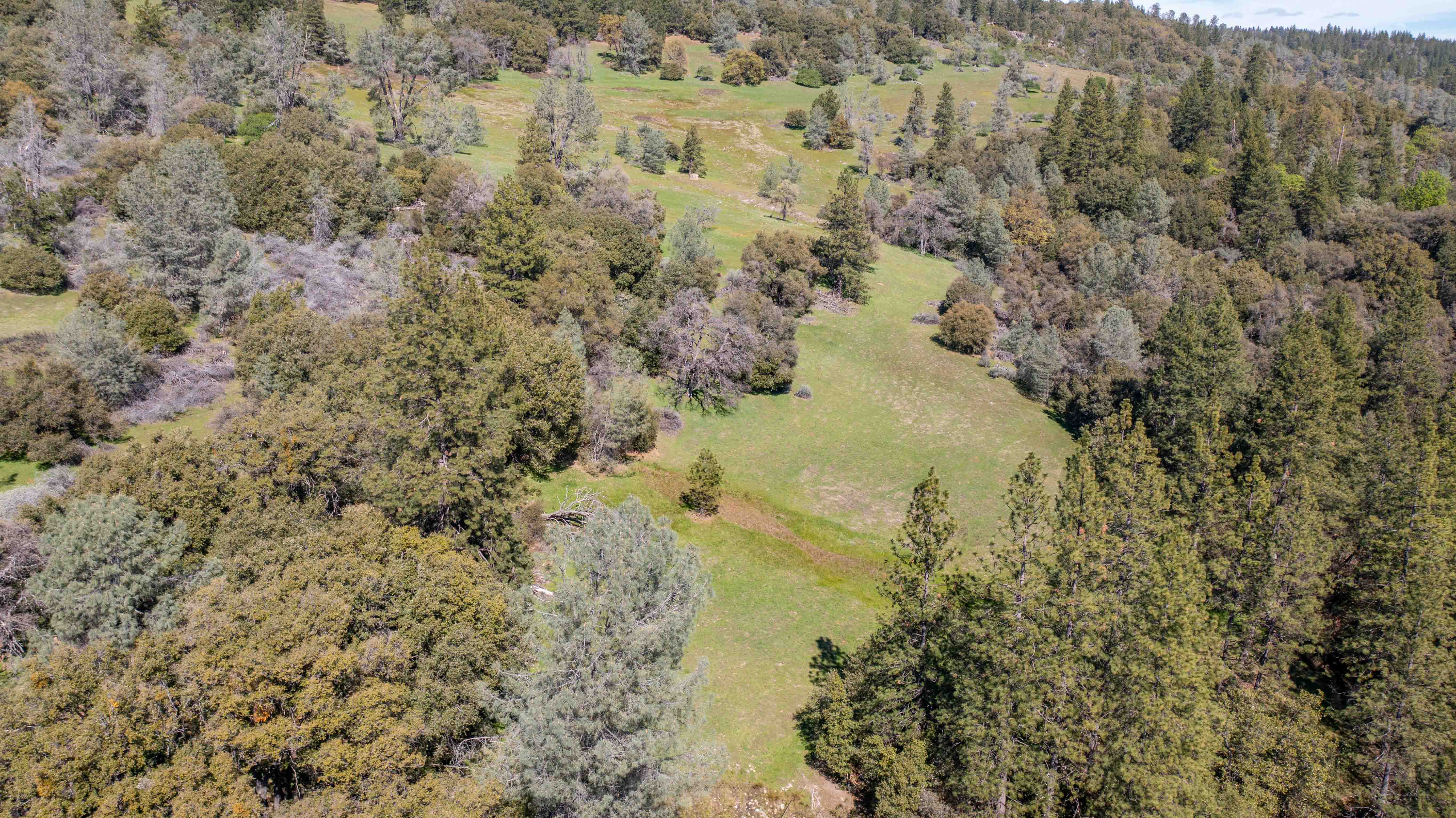 Listing Image 42