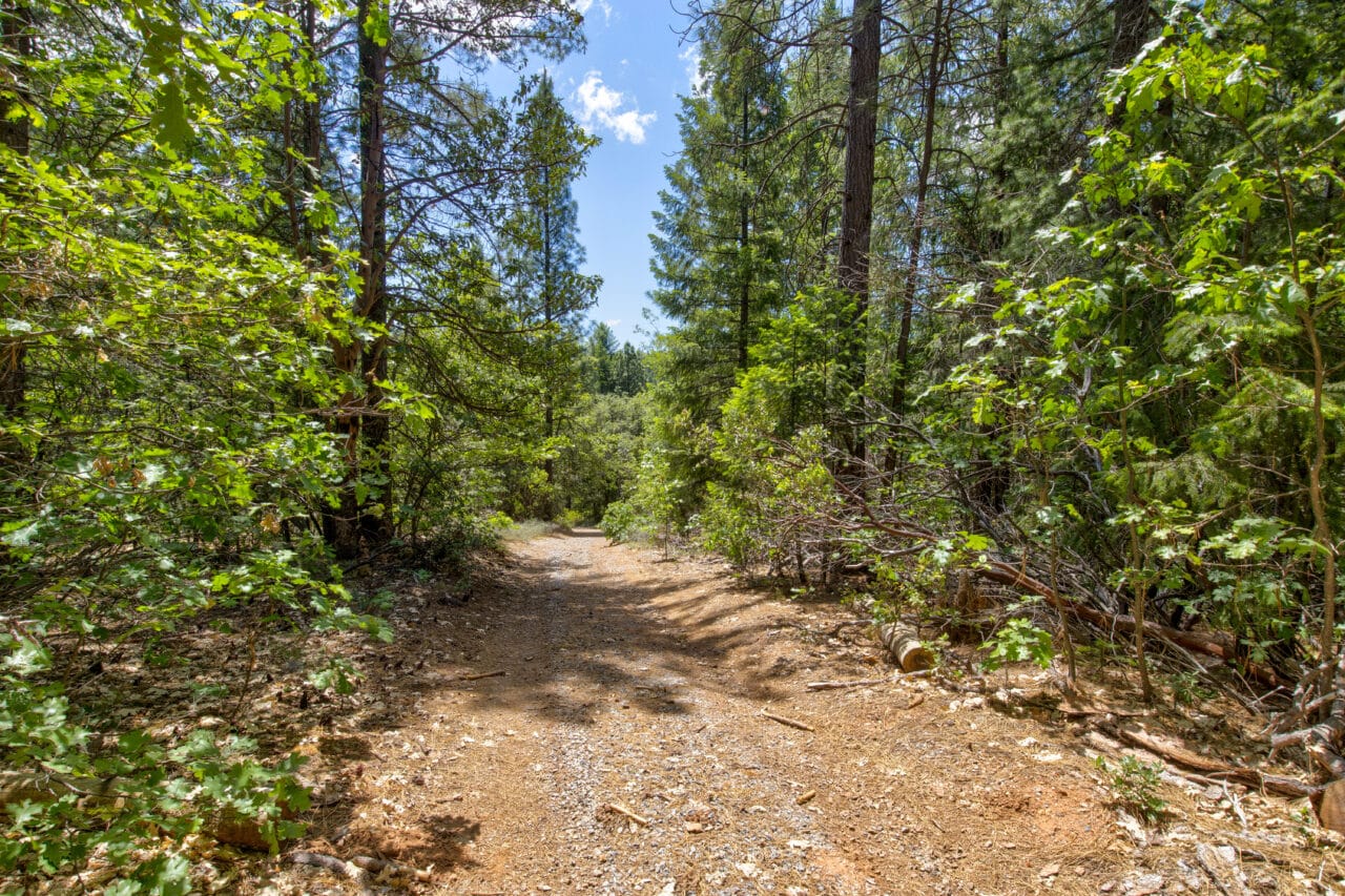 Otter Creek Cabin