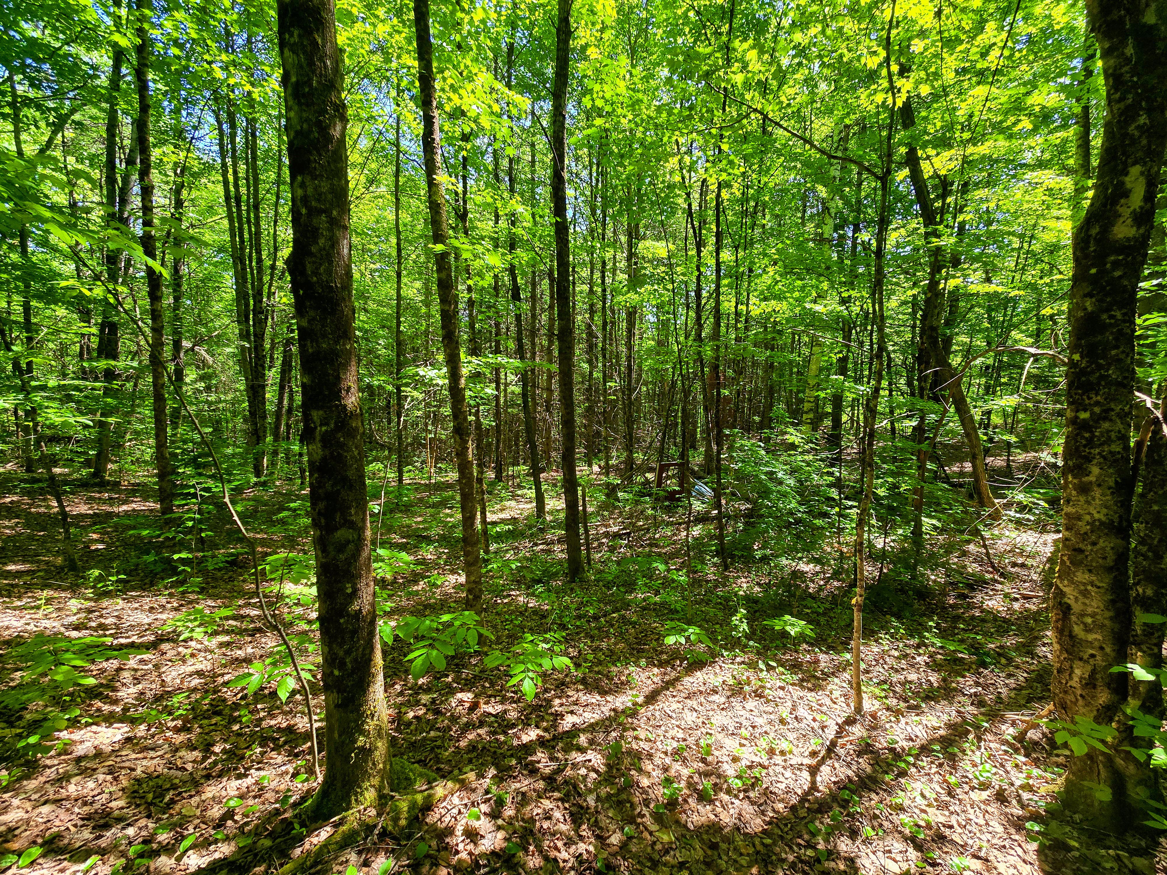 Listing Image 16