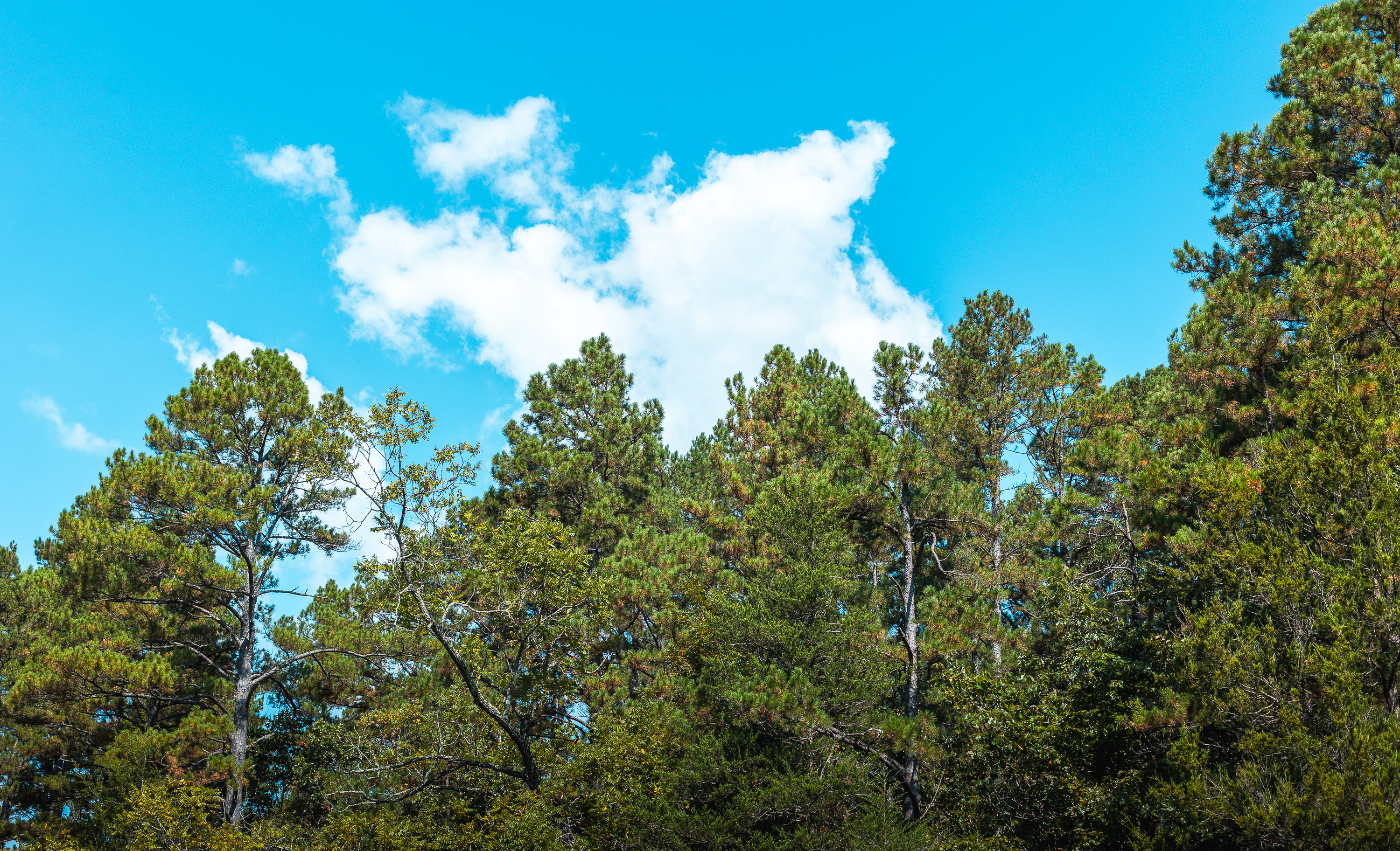 Ashley Creek Ranch 329