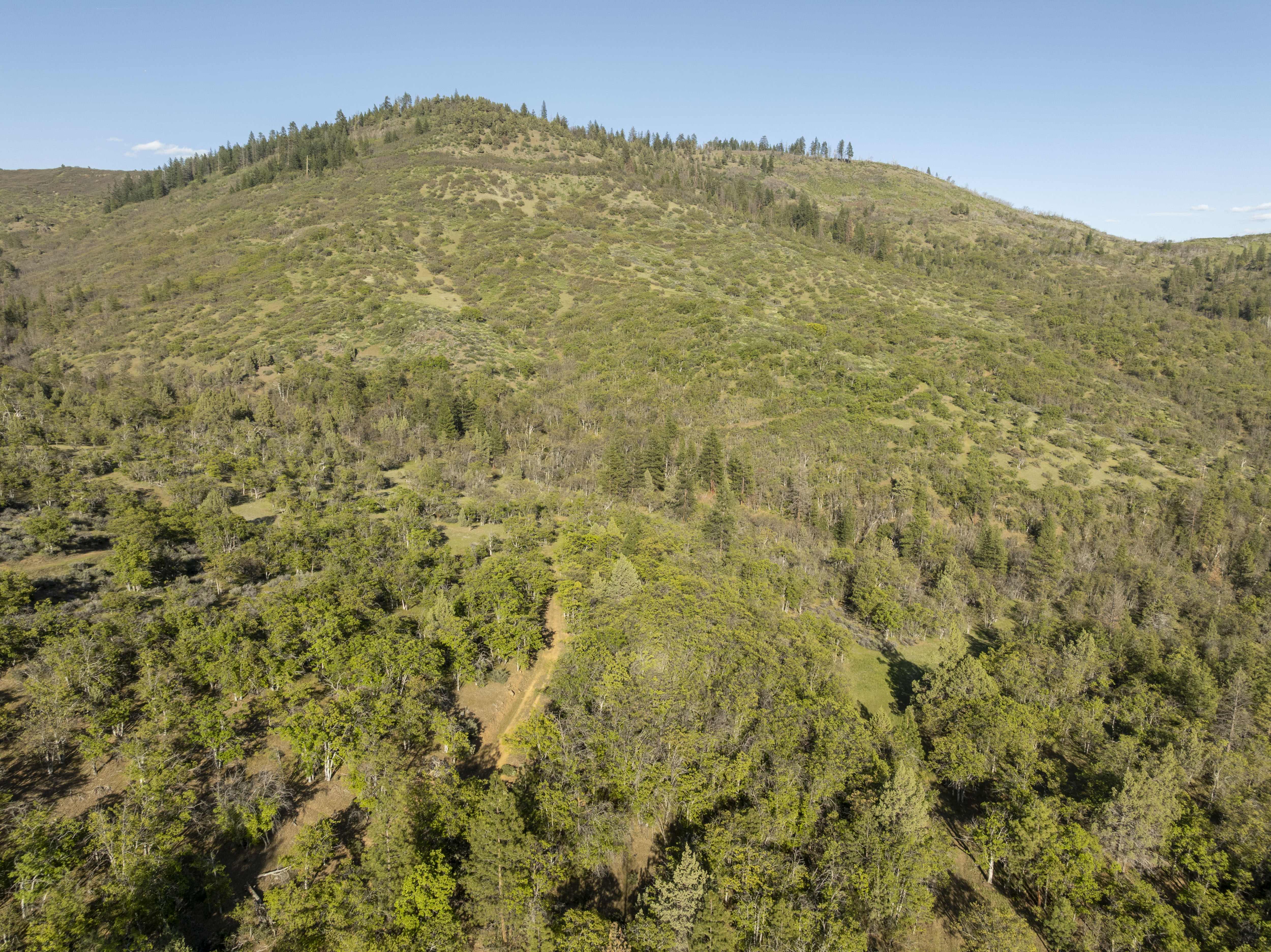 Listing Image 64