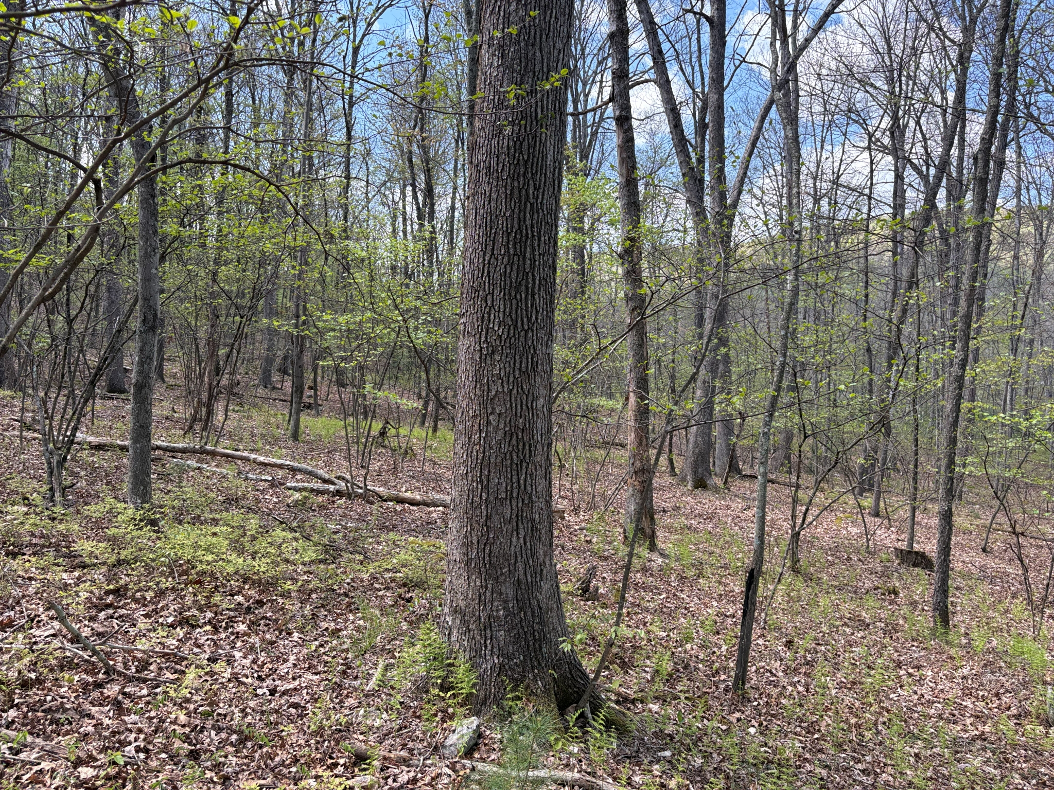 Listing Image 24