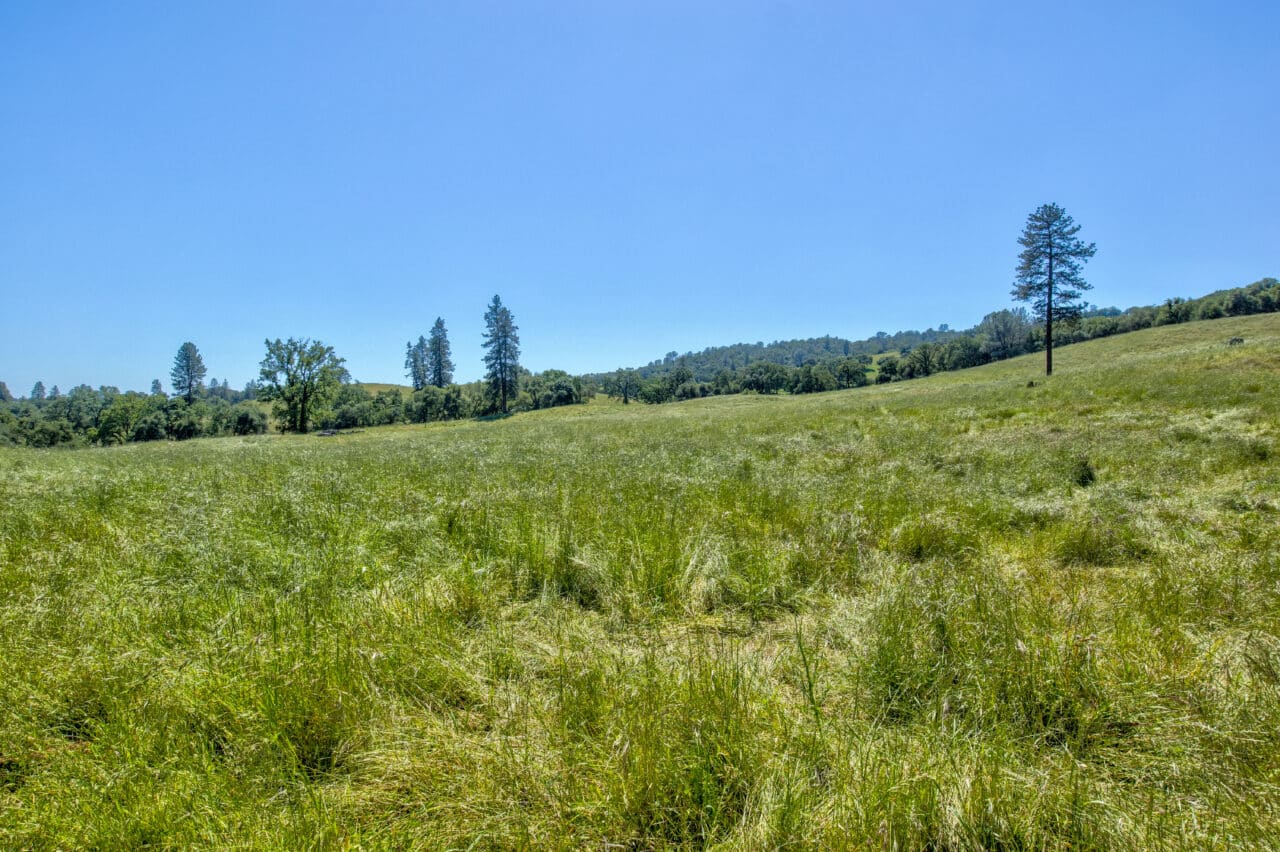 Listing Image 66